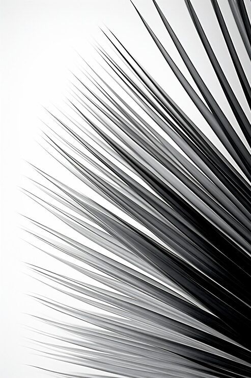 493x740 Speed Lines Background Photo Free High Quality Picture