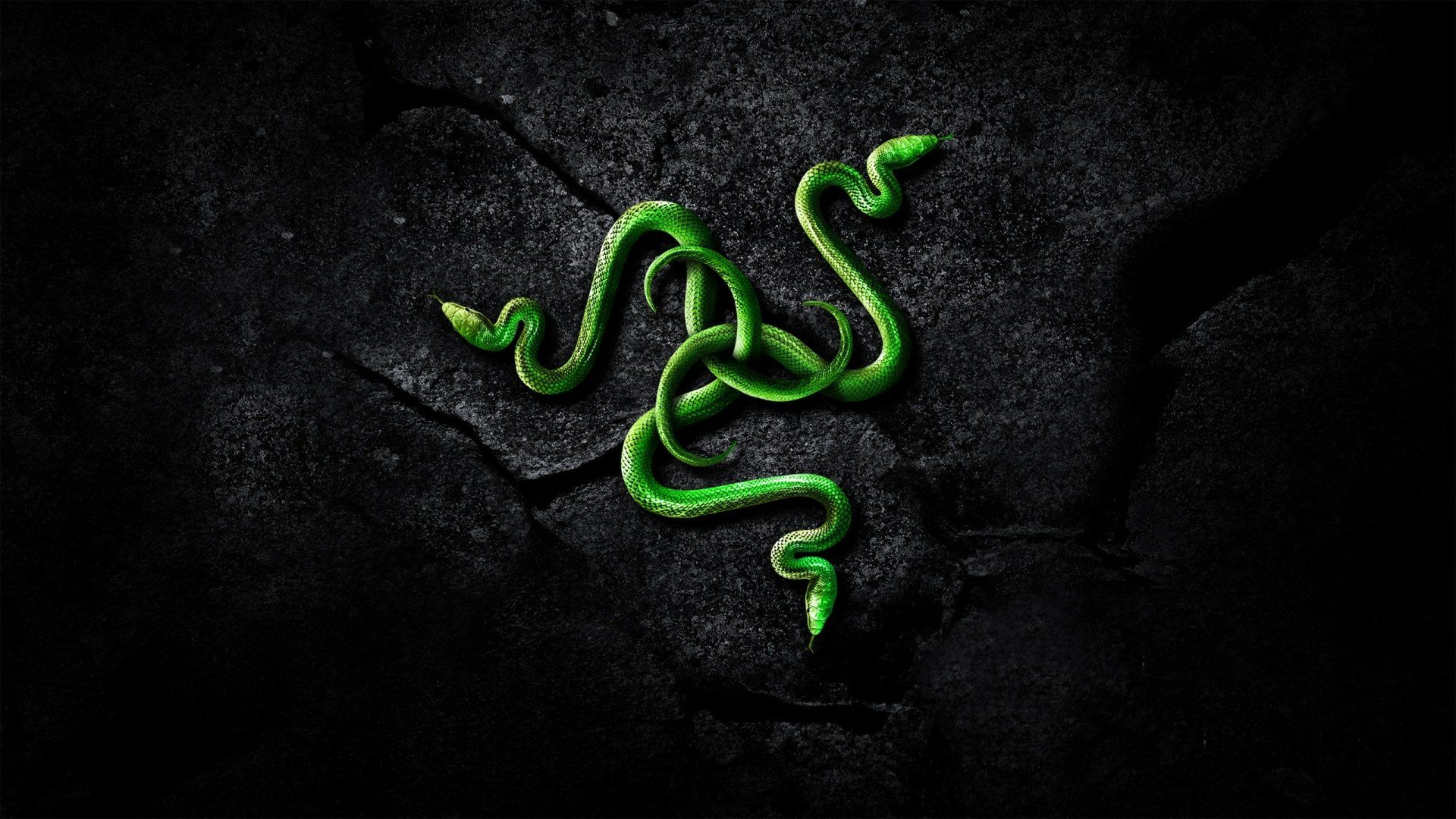 1920x1080 Razer Technology HD Wallpaper: A Striking Green Serpent Designx1440