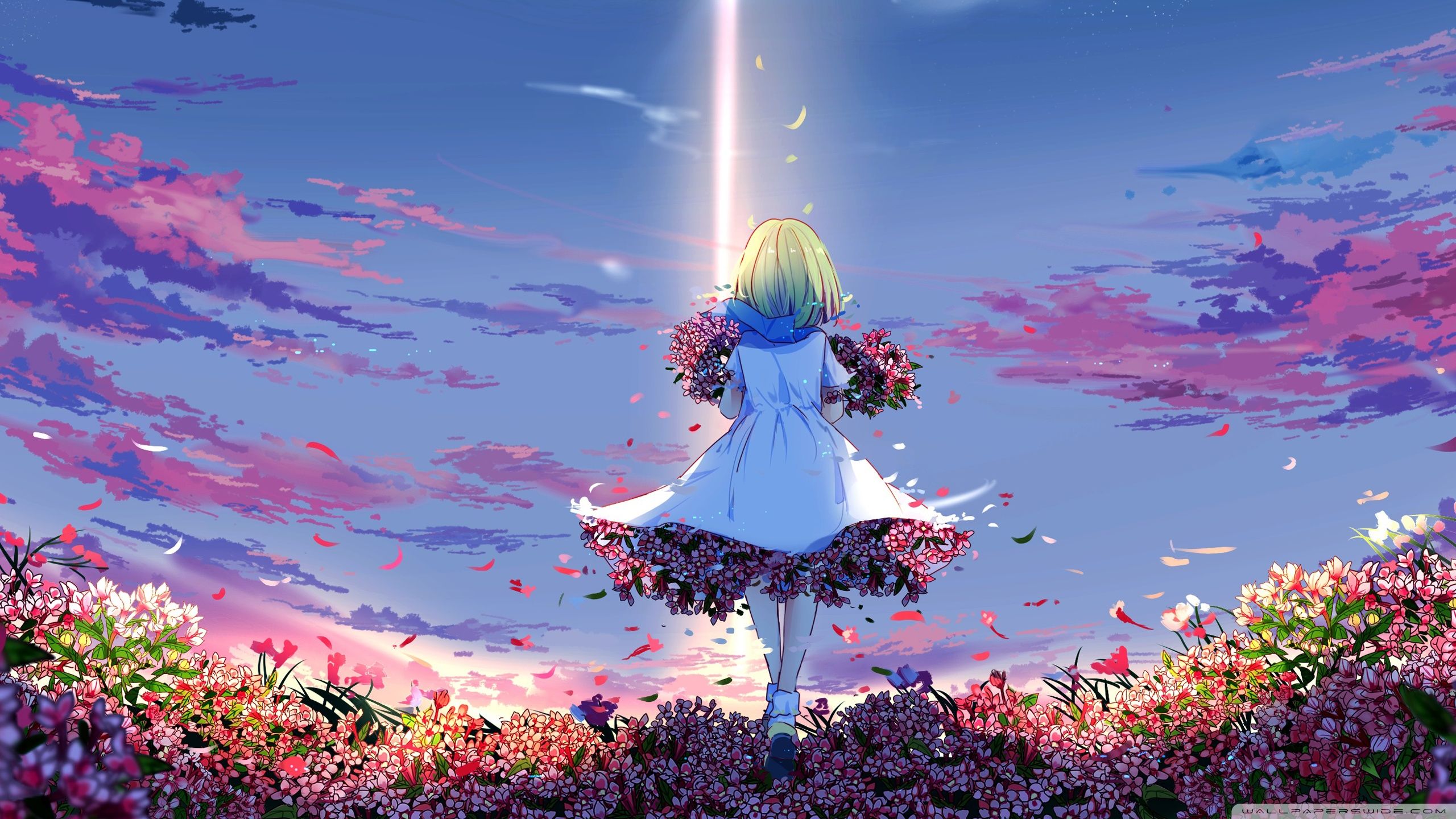 2560x1440 Anime Girl 4K UHD Wallpaper for UltraHD Desktop and TV : Widescreen and UltraWide Display : Dual Monitor : Smartphone and Tablet Devices