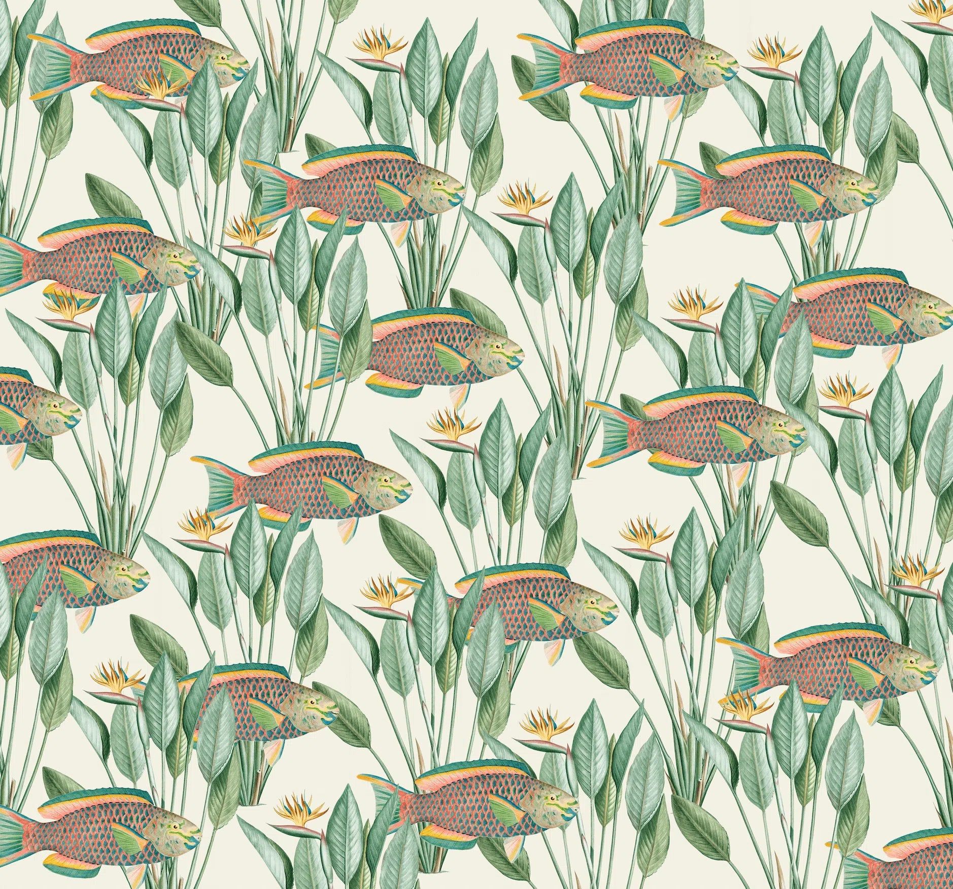 1878x1752 Parrot Fish Mural by Creative Lab Amsterdam. Beaumonde.co.uk