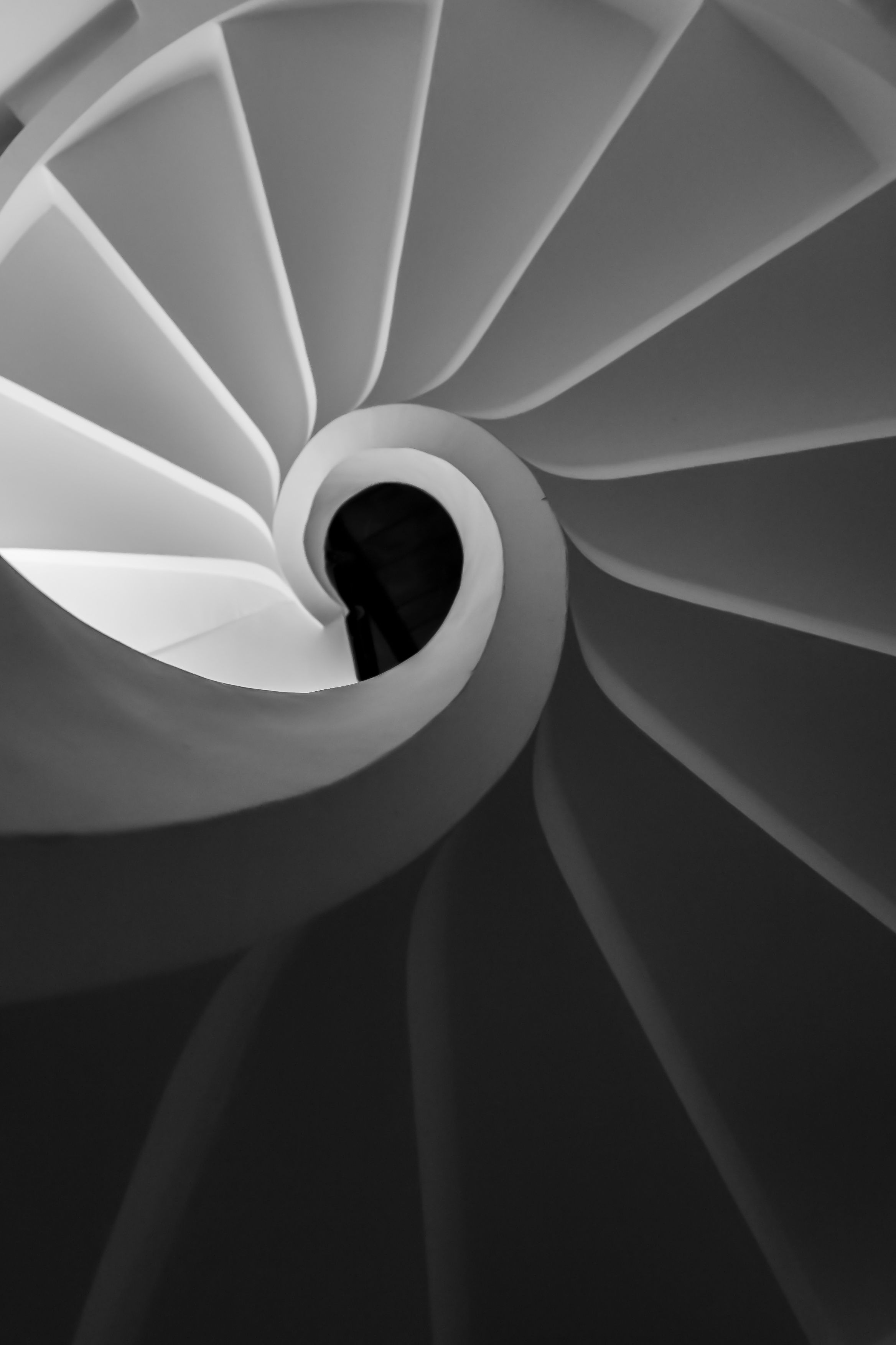 2336x3504 Spiral Staircase