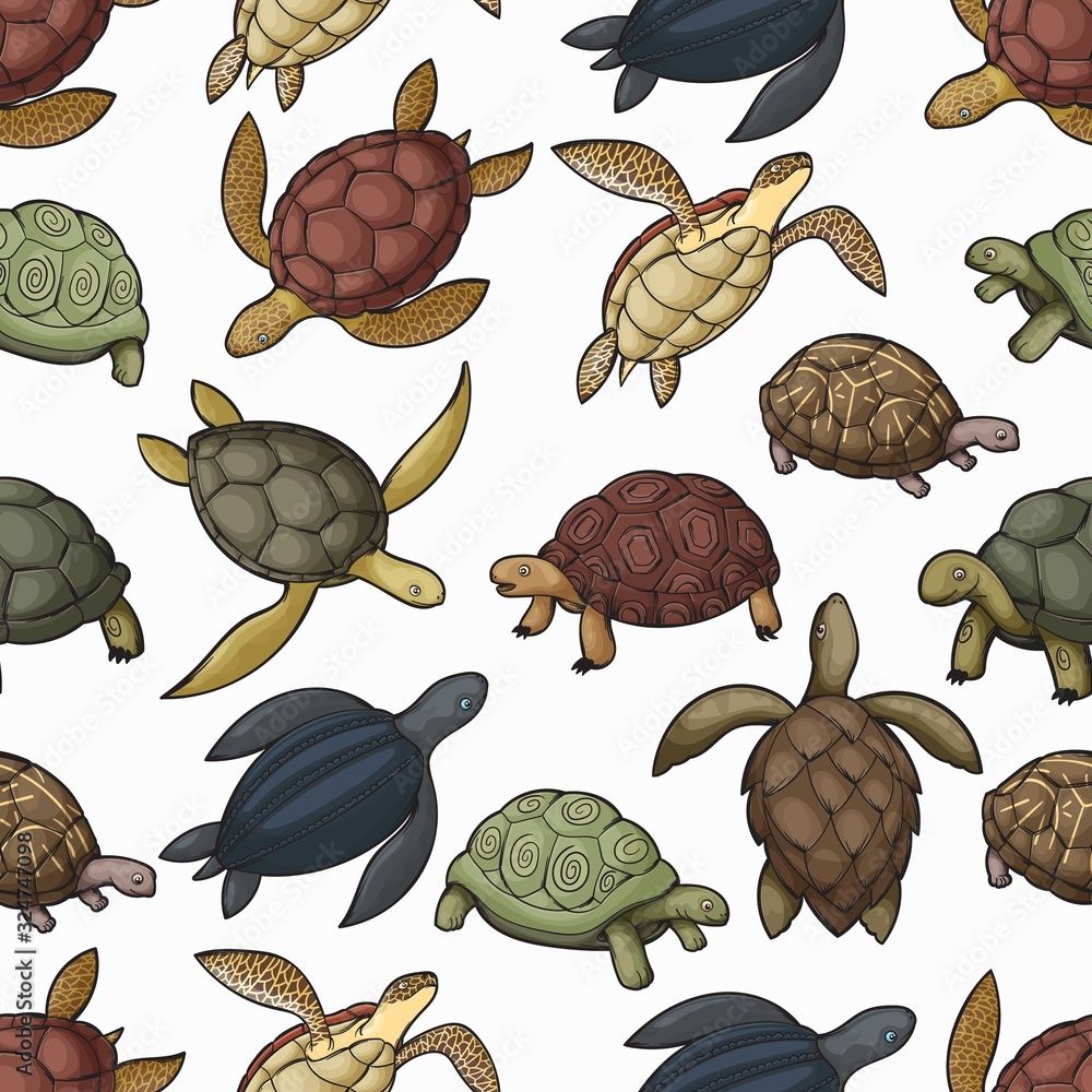 1000x1000 Turtle animals vector seamless pattern of sea turtle, tortoise and terrapin background. Water and land reptiles with green, black and brown carapace shells, feets, flippers and heads backdrop Stock Vector