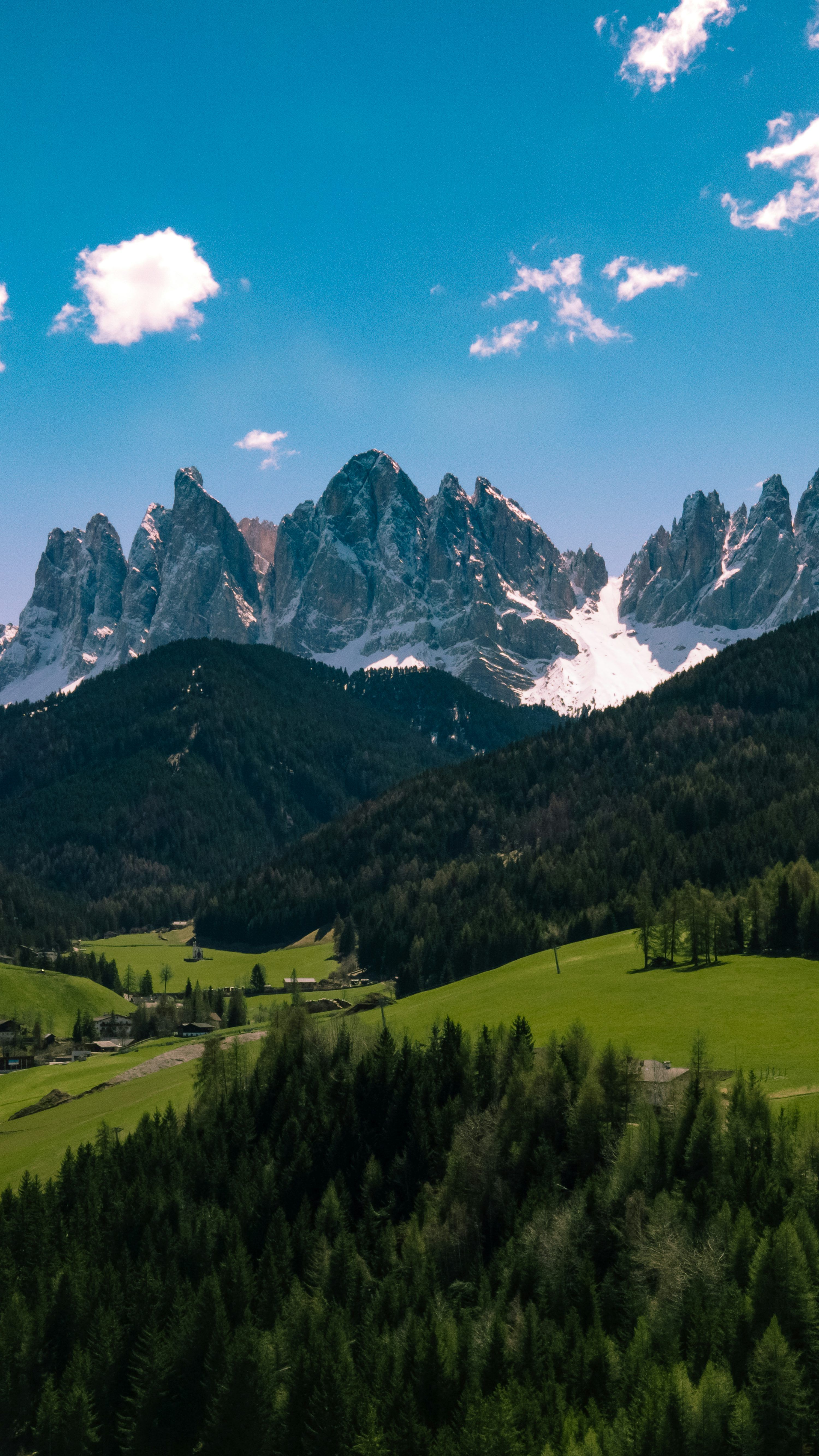 3000x5333 A view of a mountain range with trees in the foreground photo