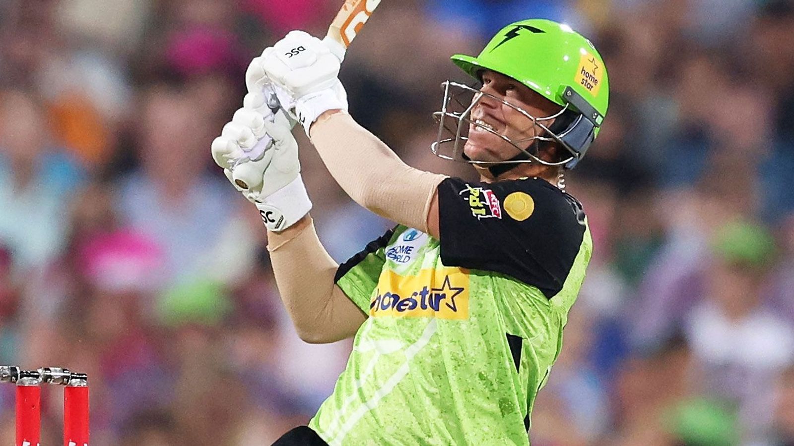 1600x900 Warner commits to full Big Bash season with Thunder. cricket.com.au