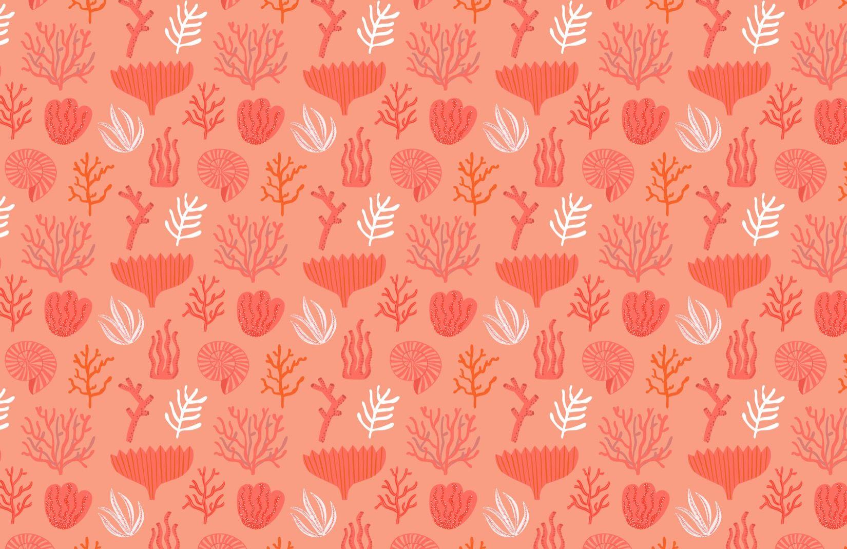 Coral Abstract Wallpapers - Top Free Coral Abstract Backgrounds