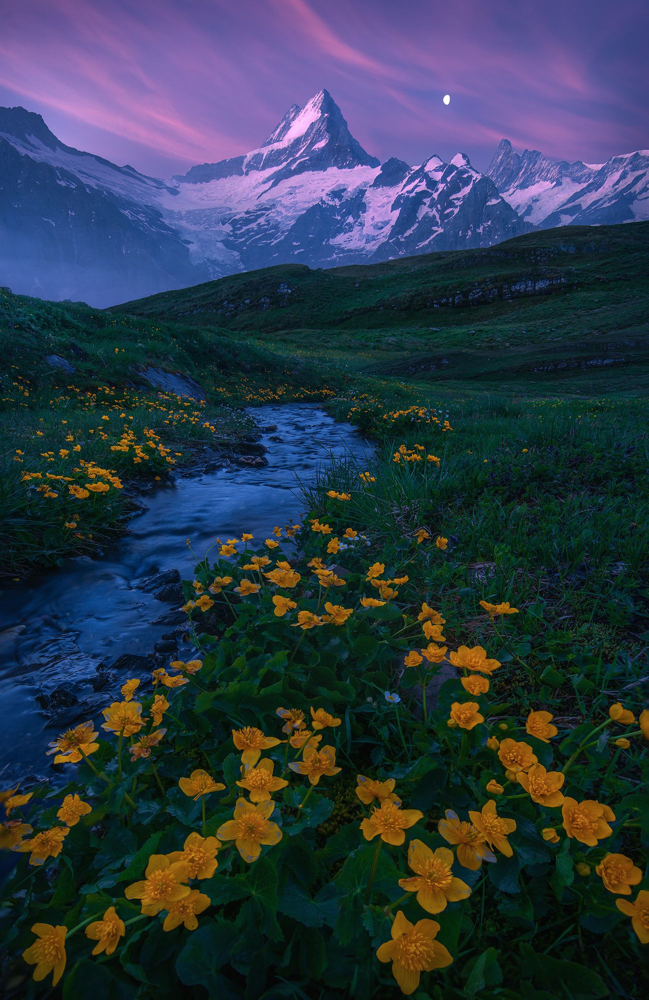 1298x2000 An alpine meadow during the dawn, Swiss Alps [OC] [1298x2000] IG: arpandas_photography_adventure