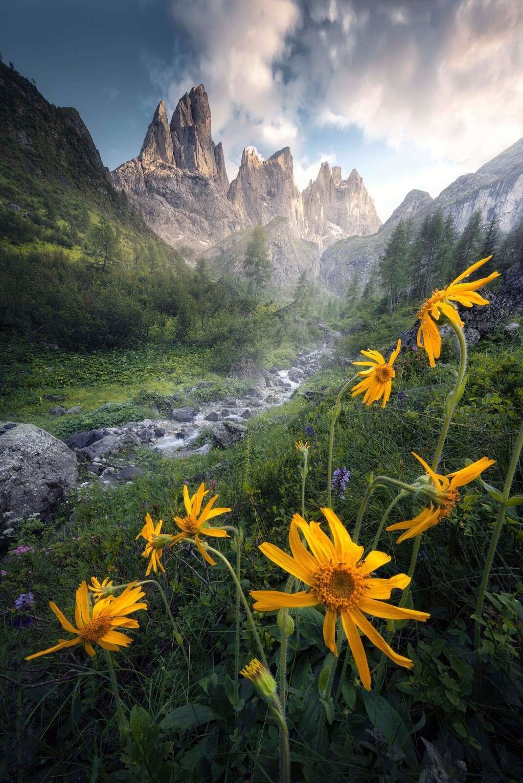 1069x1600 Wallpaper Mural Alpine flowers in mountain valley