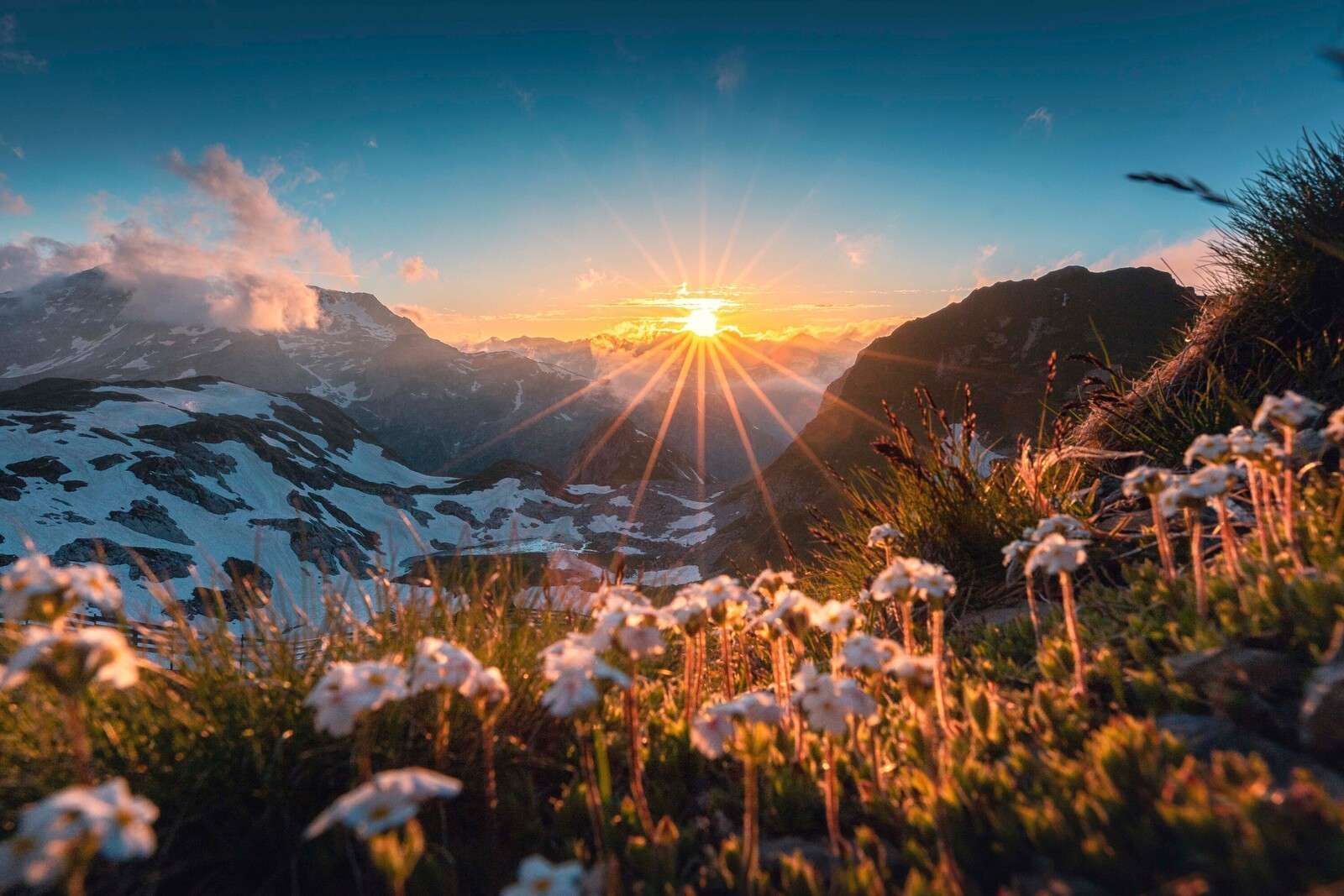 1600x1067 Wallpaper Mural over alpine meadow