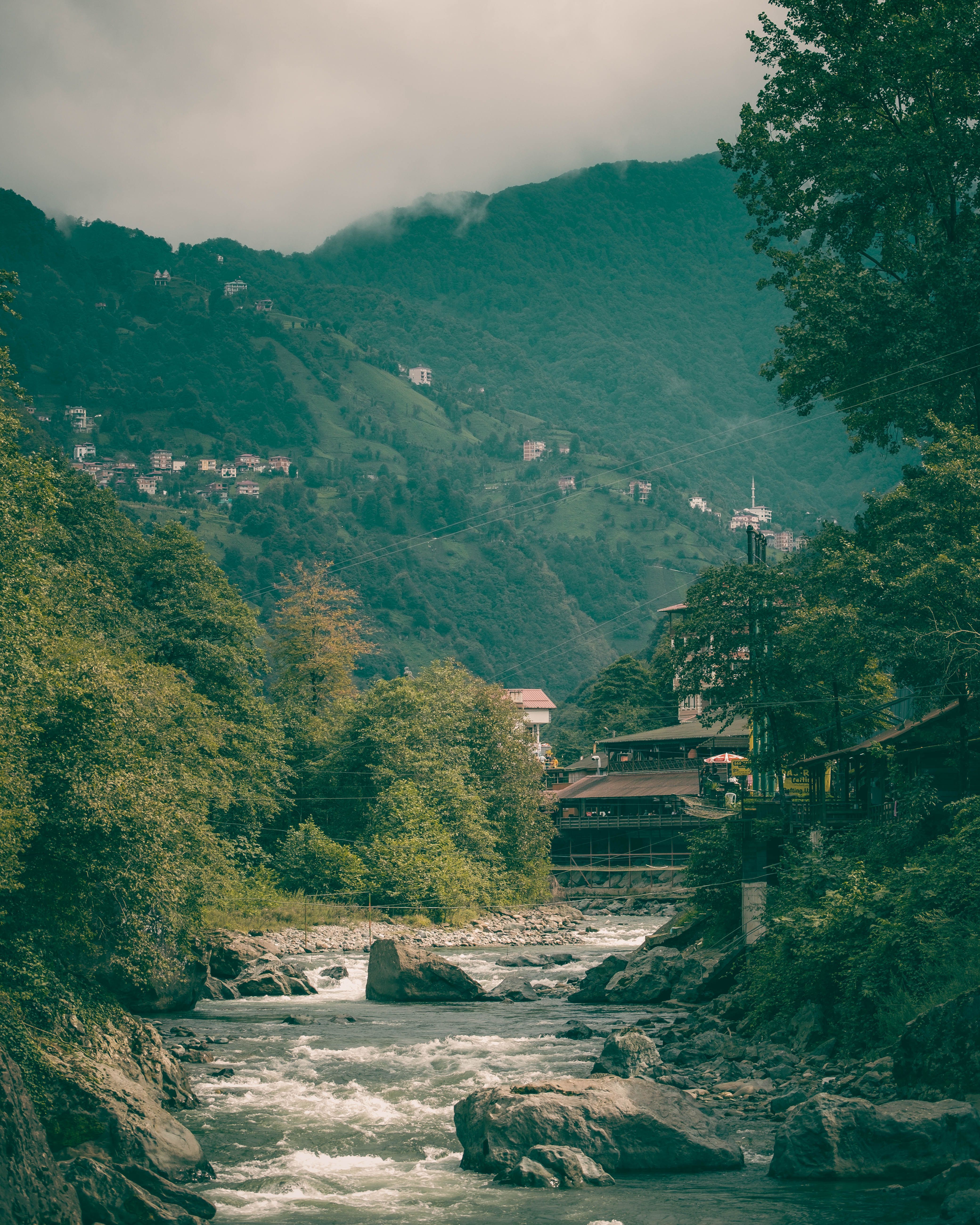 4160x5200 Stream in Forest with Hill and Village behind · Free
