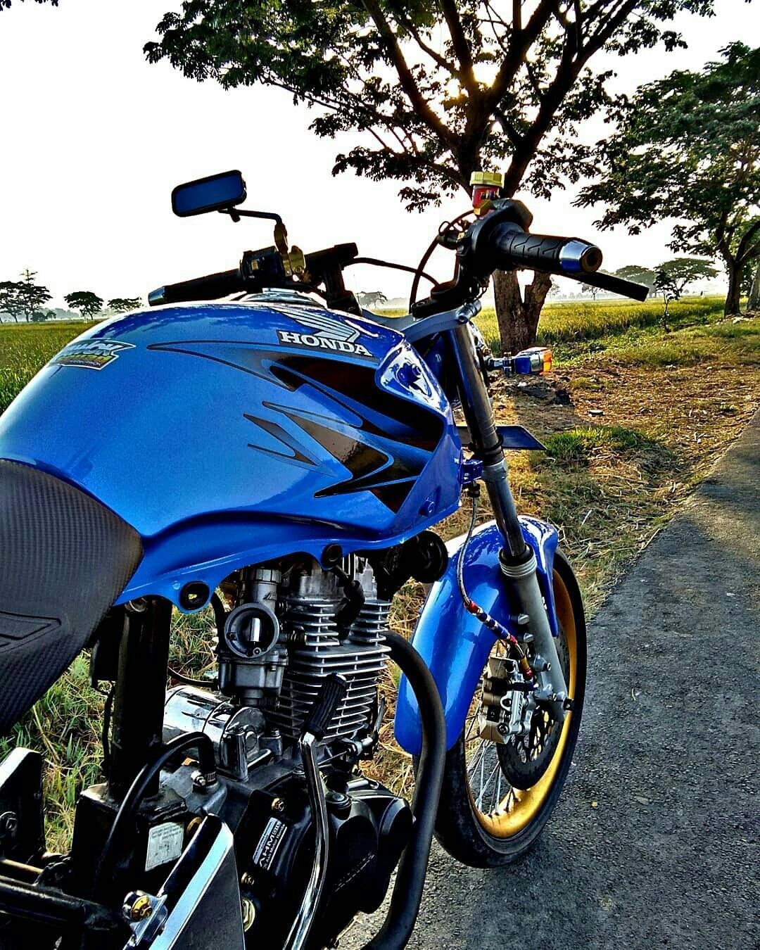 1080x1350 Honda Tiger Wallpaper