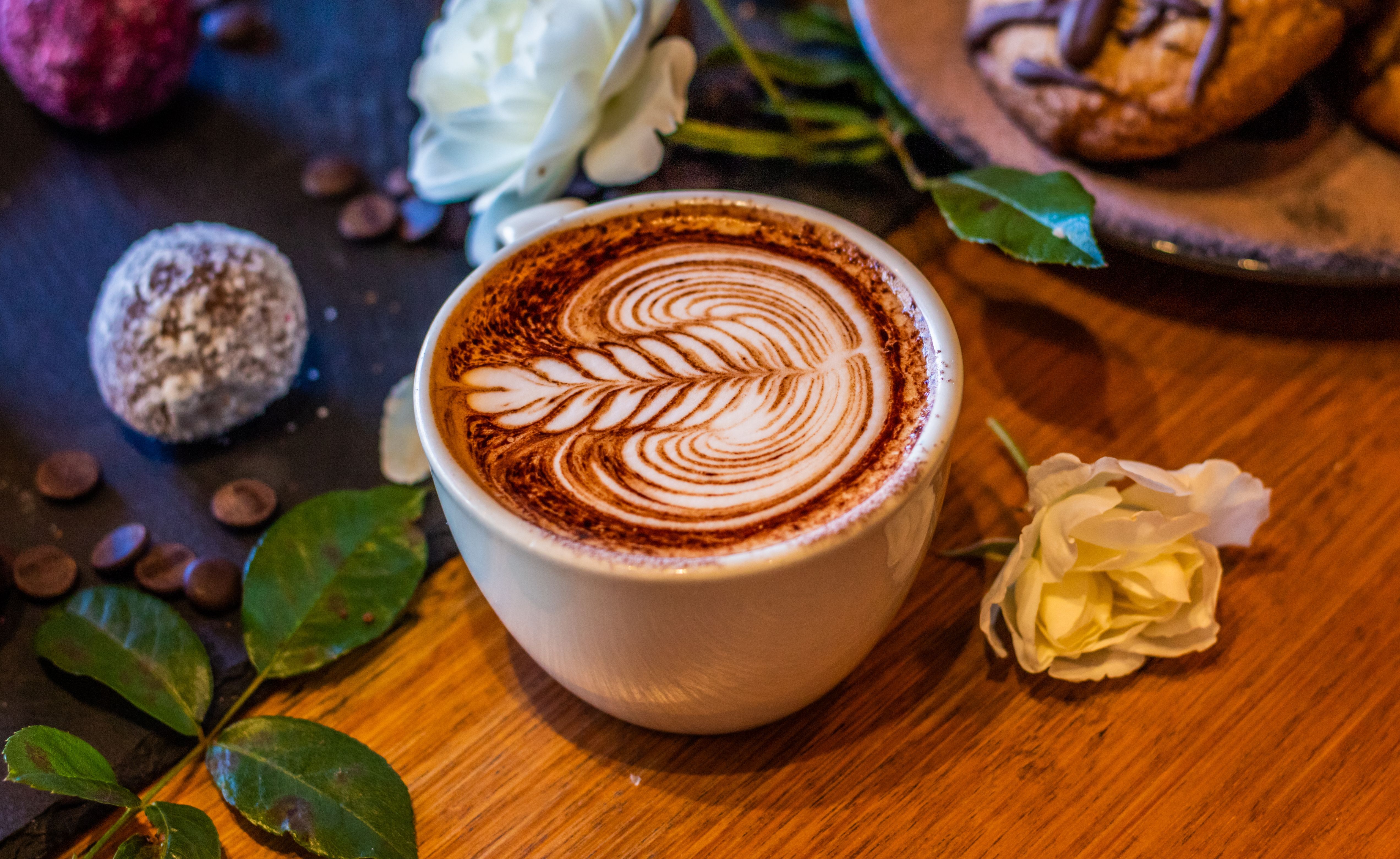 5088x3122 Coffee and Flower near · Free