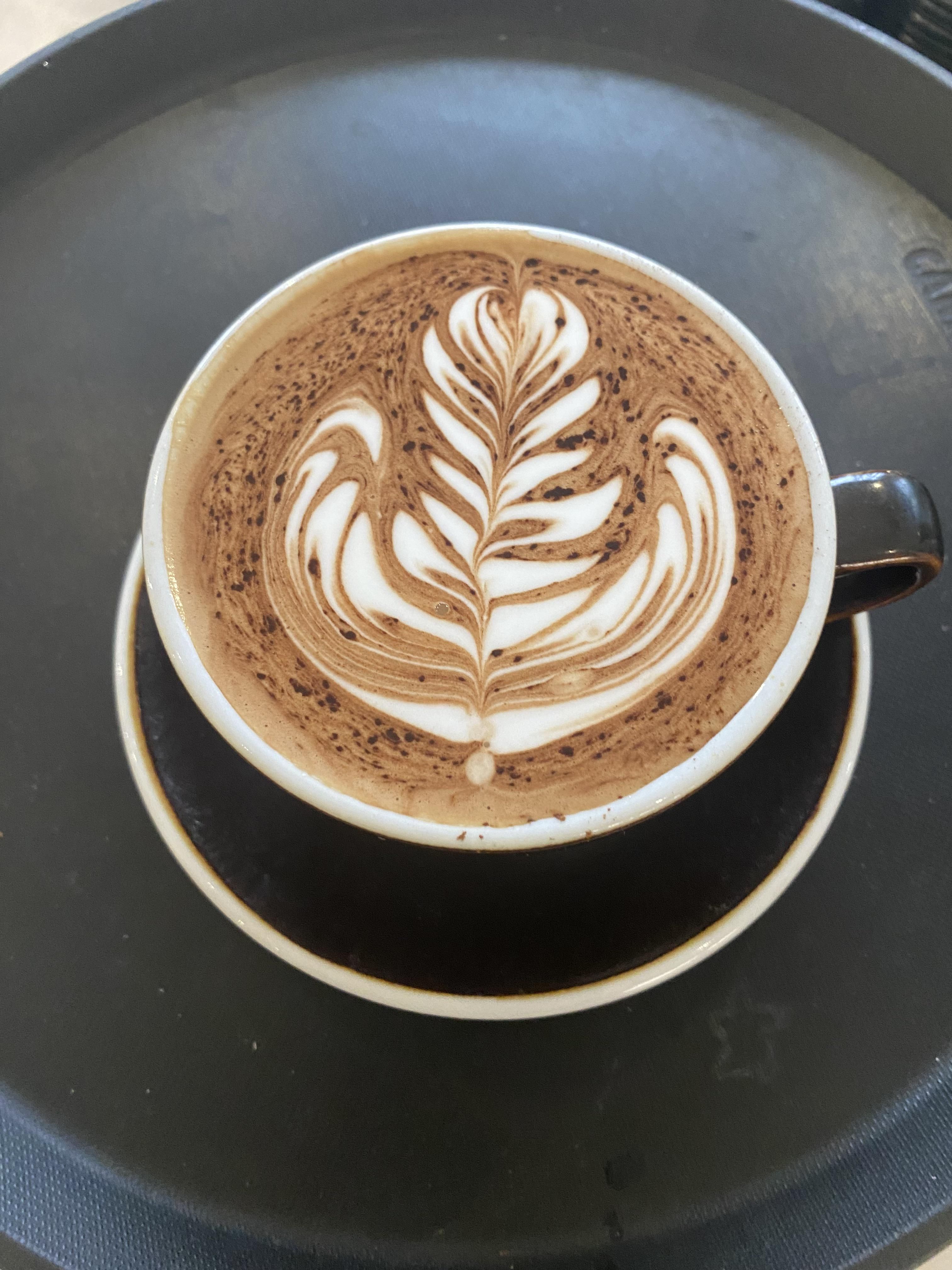 3024x4032 morning mocha