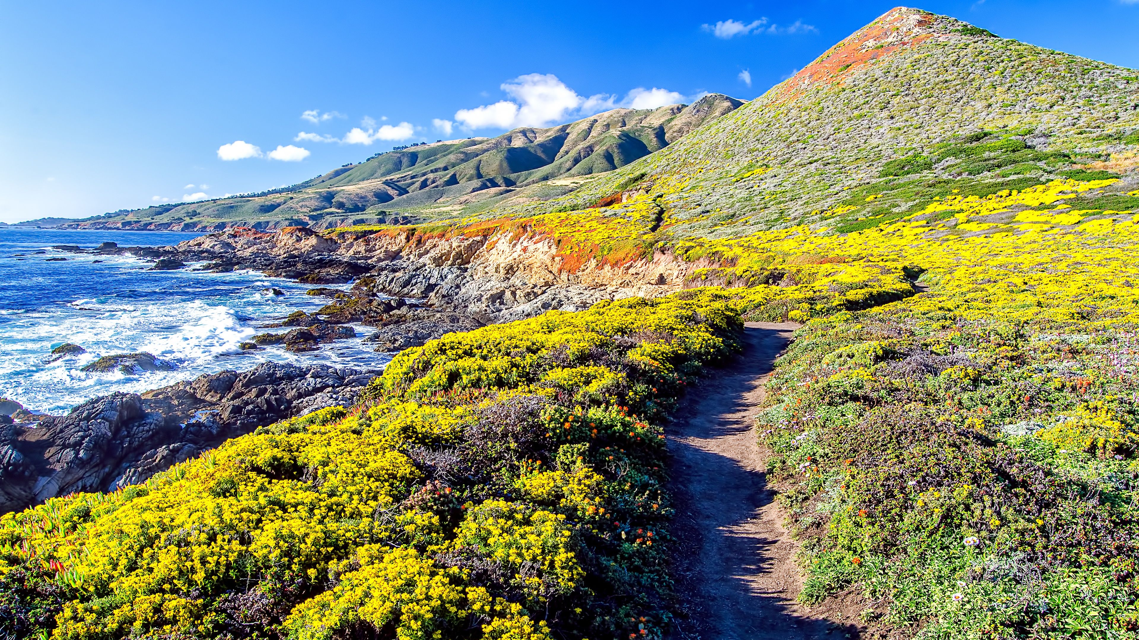 3840x2160 Big Sur Wallpaper 4K, Coastline, California