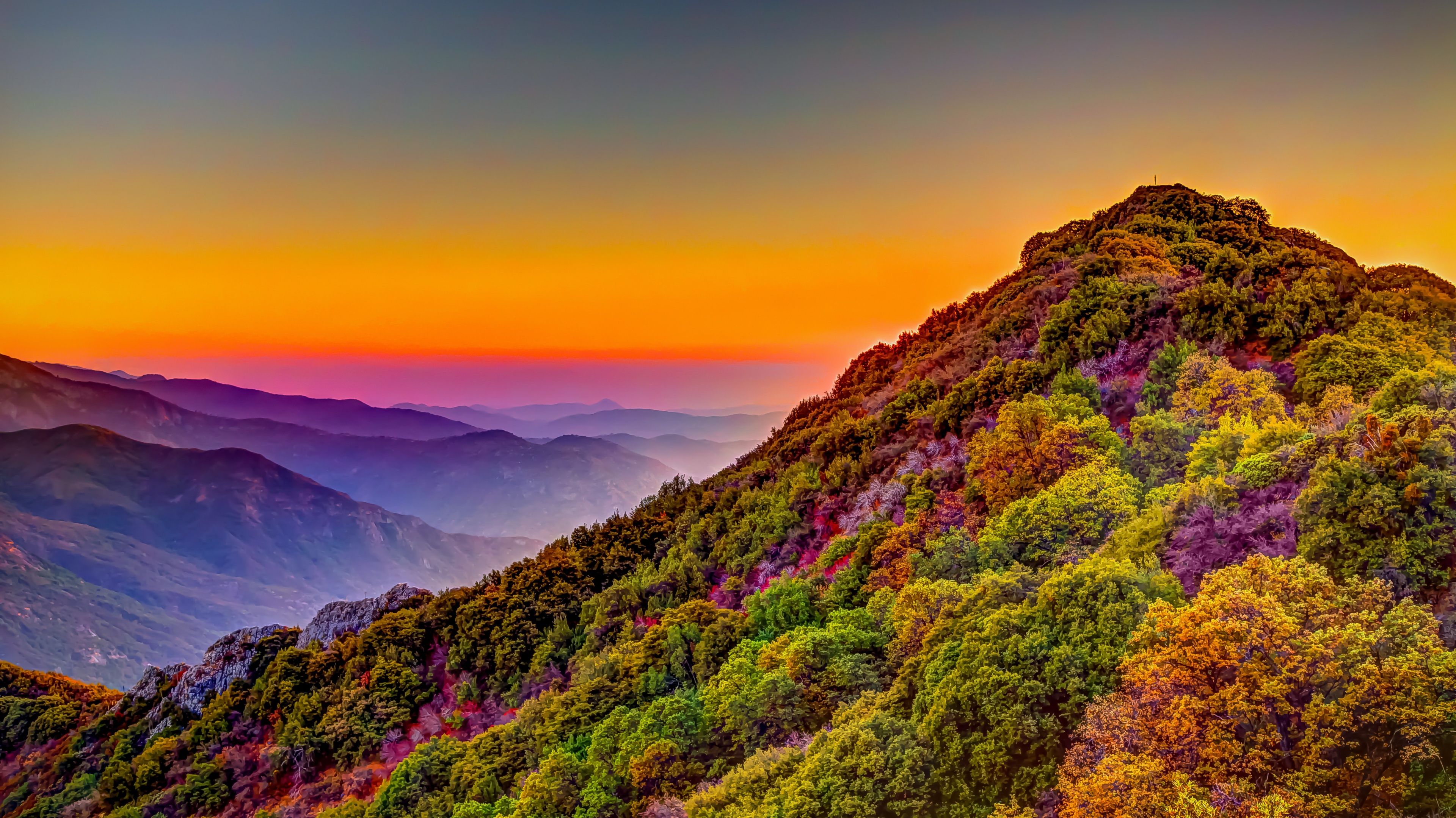 3840x2160 Sequoia National Park Wallpaper 4K, California