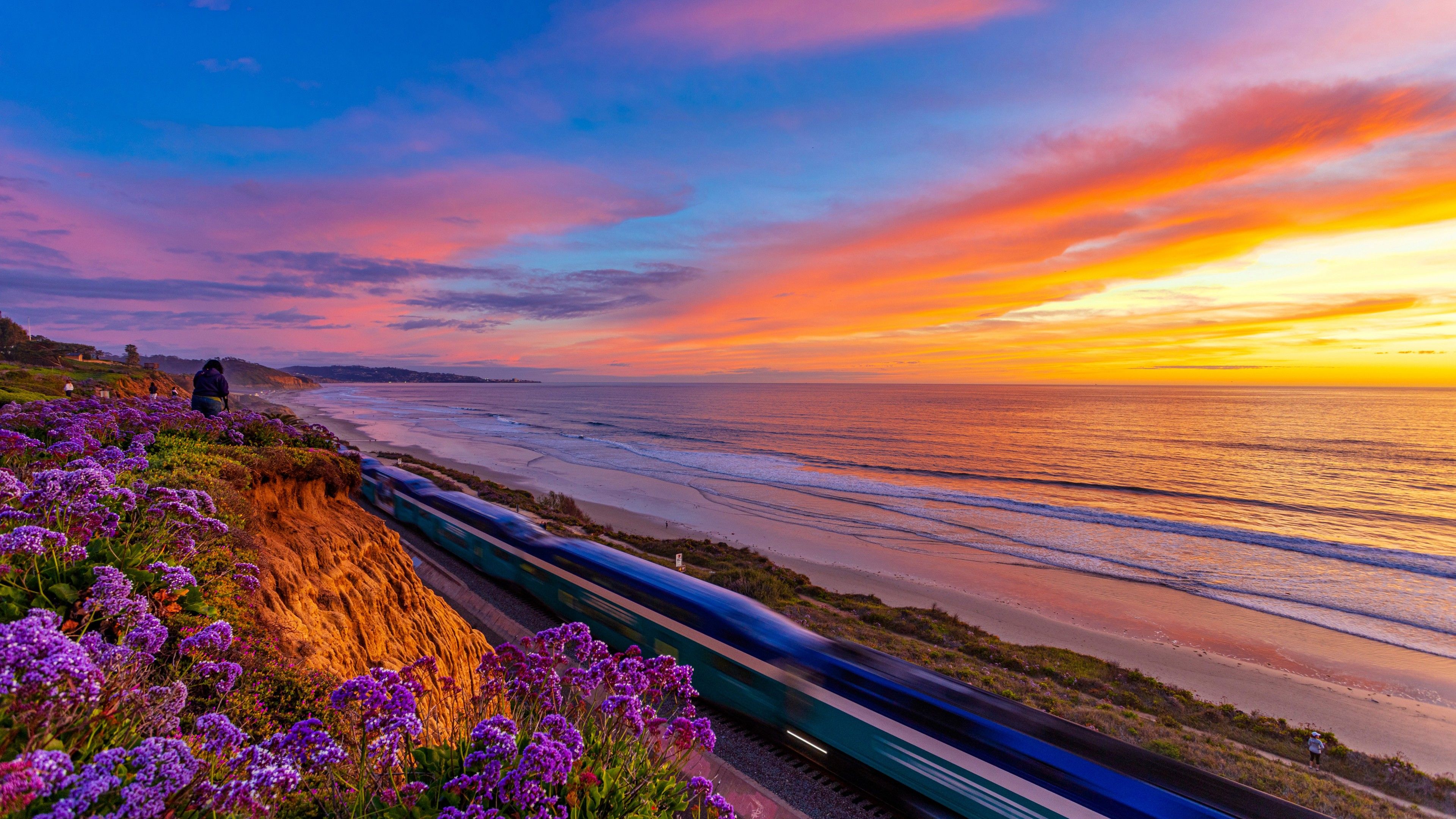 3840x2160 Train Between California Coast Pacific Ocean And Flowers During Sunset 4K 5K HD Nature Wallpaper