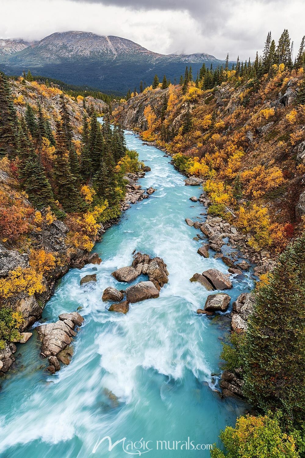 1000x1500 The Tutshi River Canyon