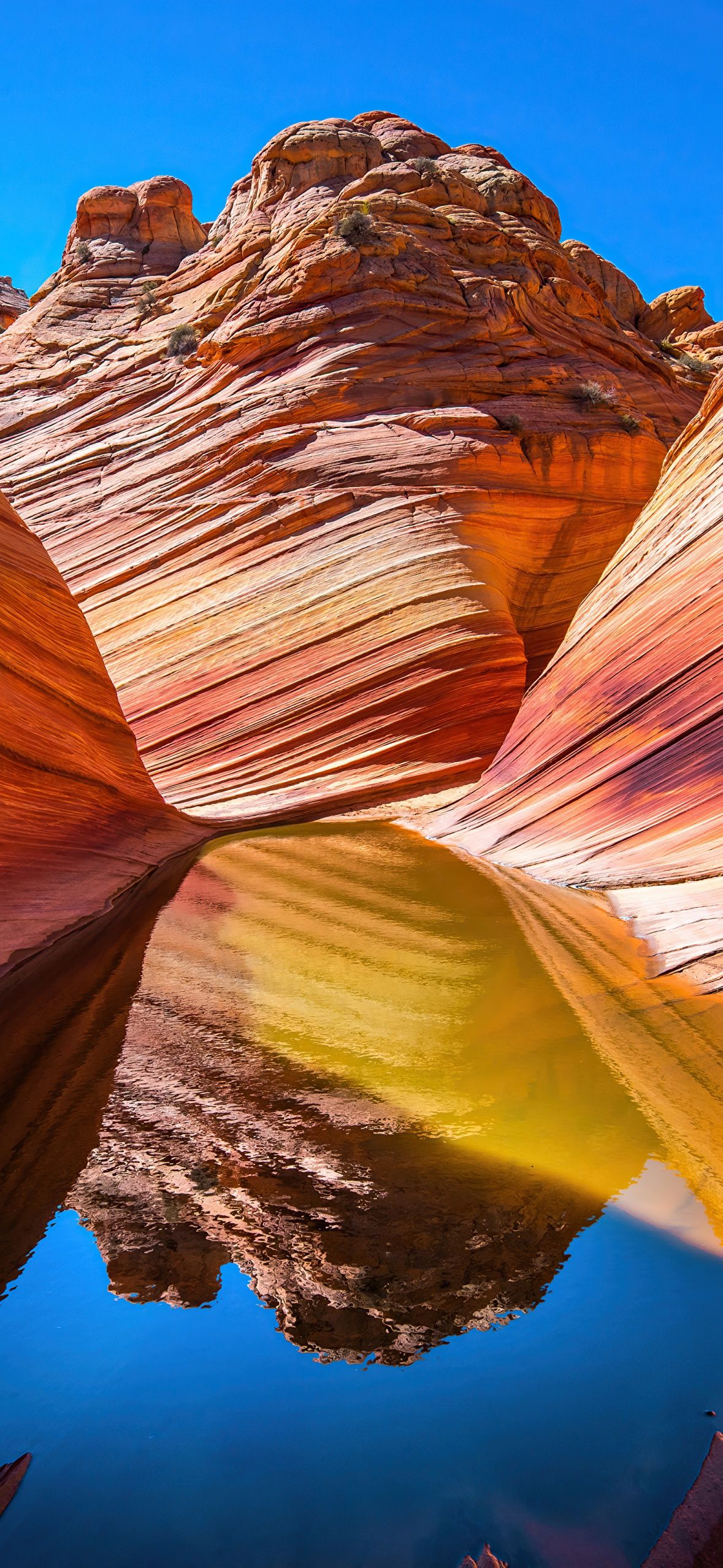 1179x2556 Marble Canyon Wallpaper 4K, Colorado River, The Grand Canyon