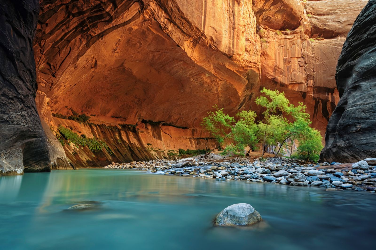 1600x1066 The Narrows Zion: Epic River Hike Through Slot Canyon