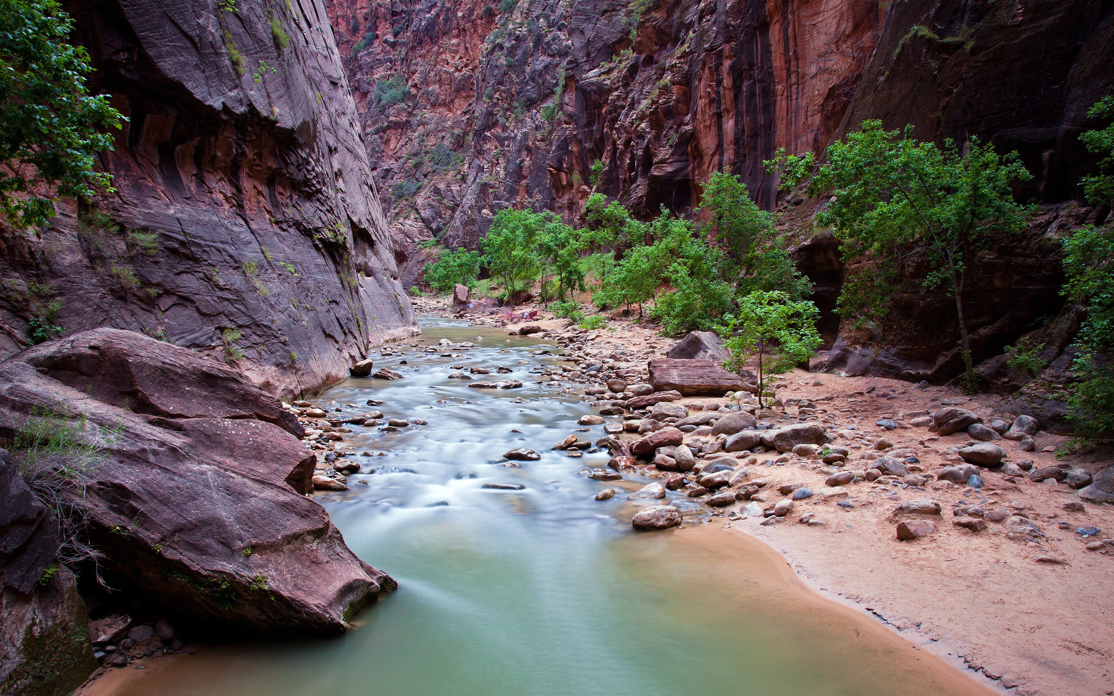 3840x2400 river, Rock, Zion, National, Park, Canyon, Utah Wallpaper HD / Desktop and Mobile Background