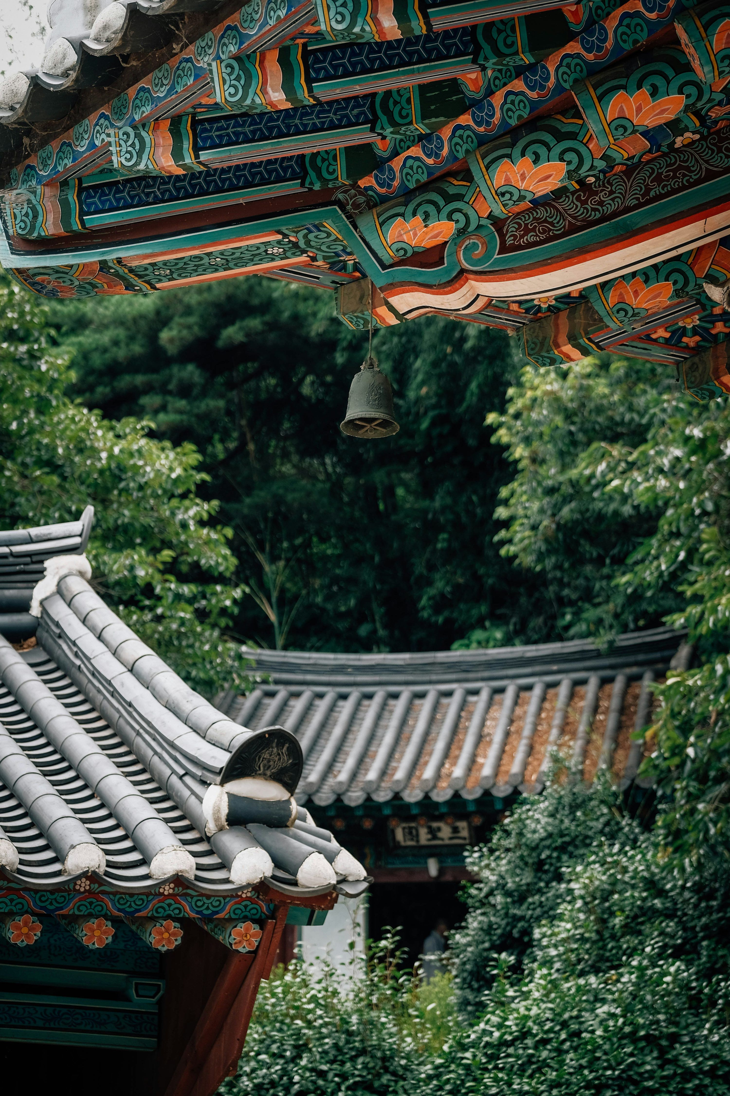 3000x4500 Ornate korean temple roofs with lush green trees. photo