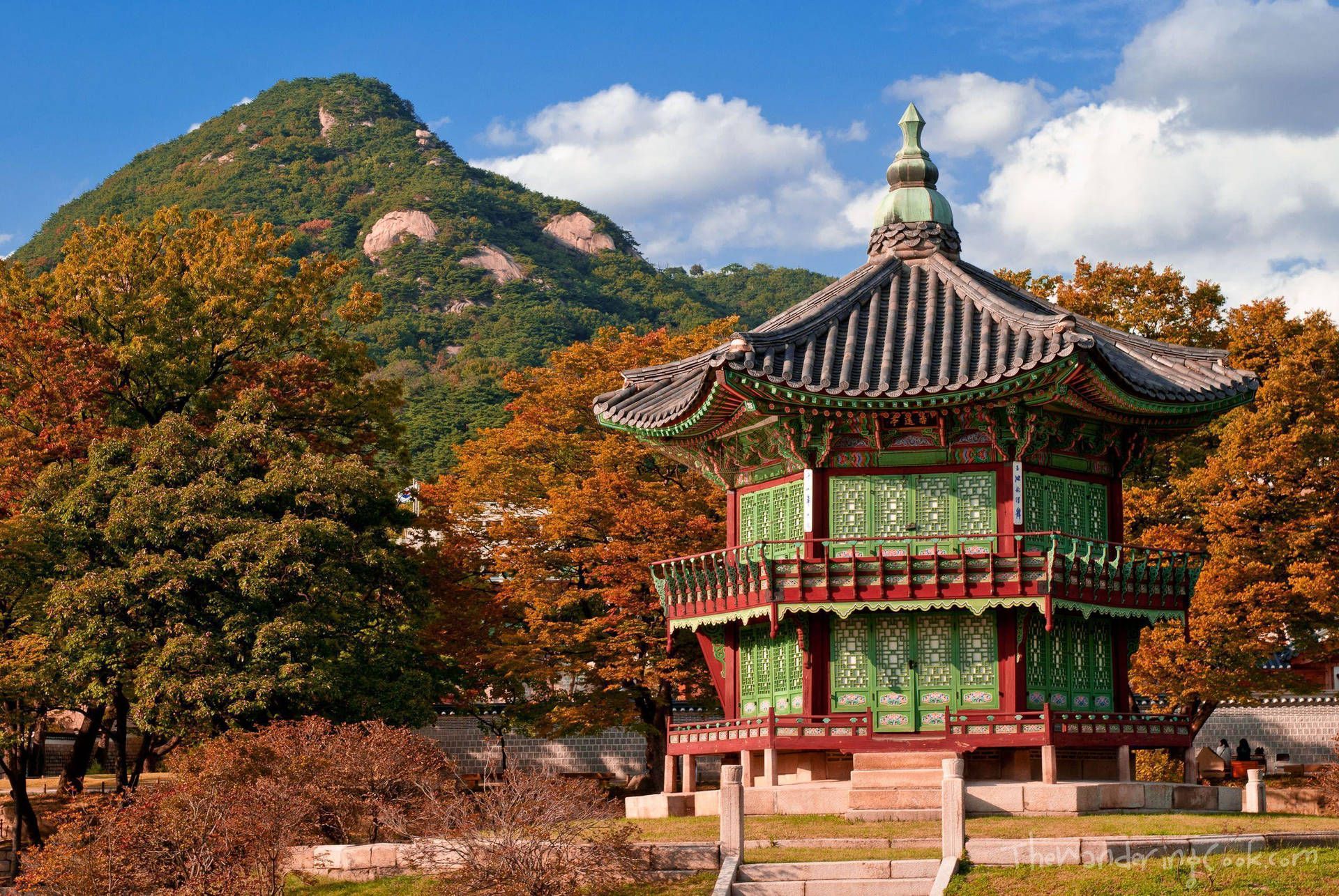1920x1286 Download Daytime South Korea Palace Wallpaper