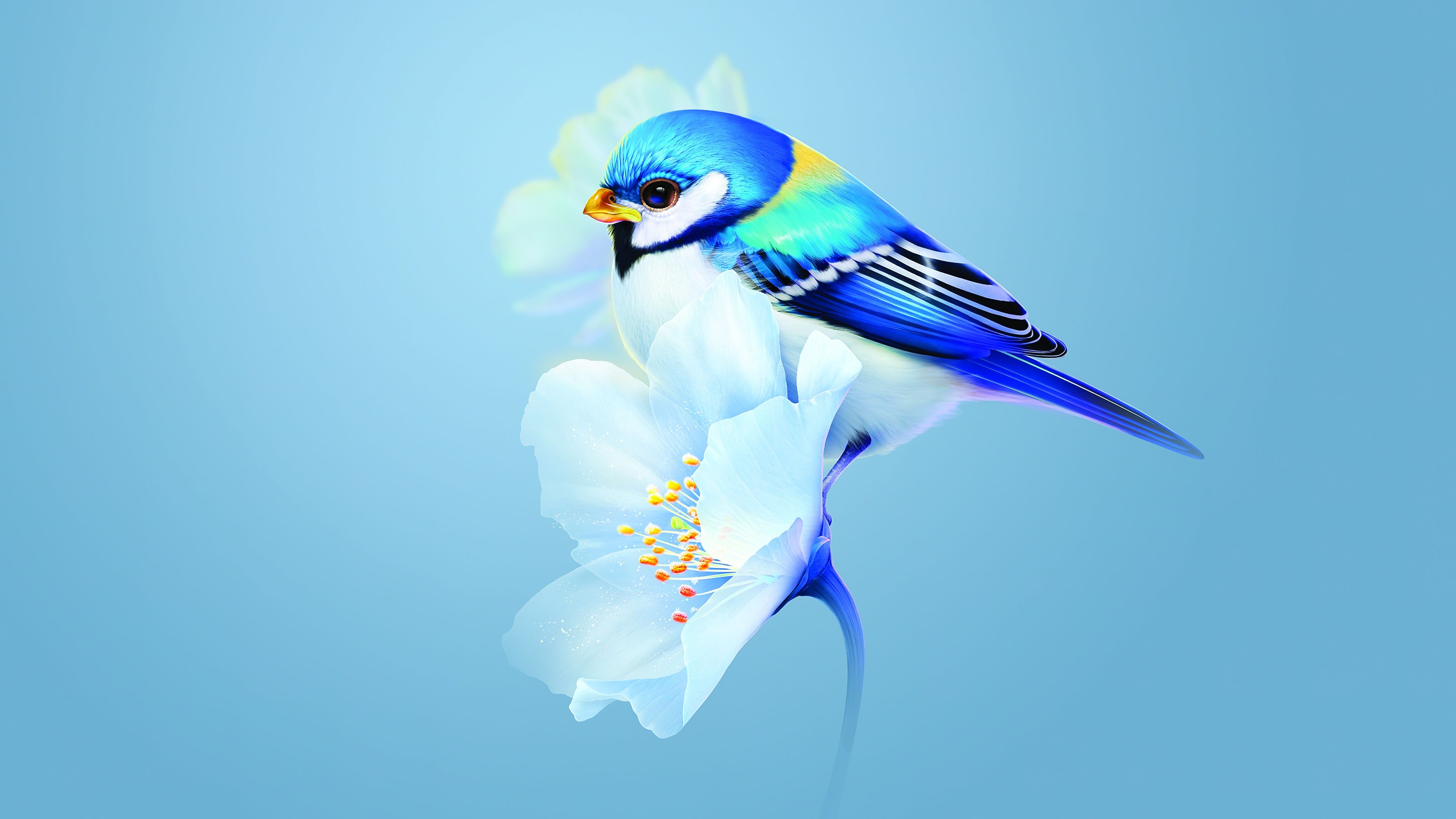 3840x2160 Cute bird Wallpaper 4K, Blue flower, Blue background