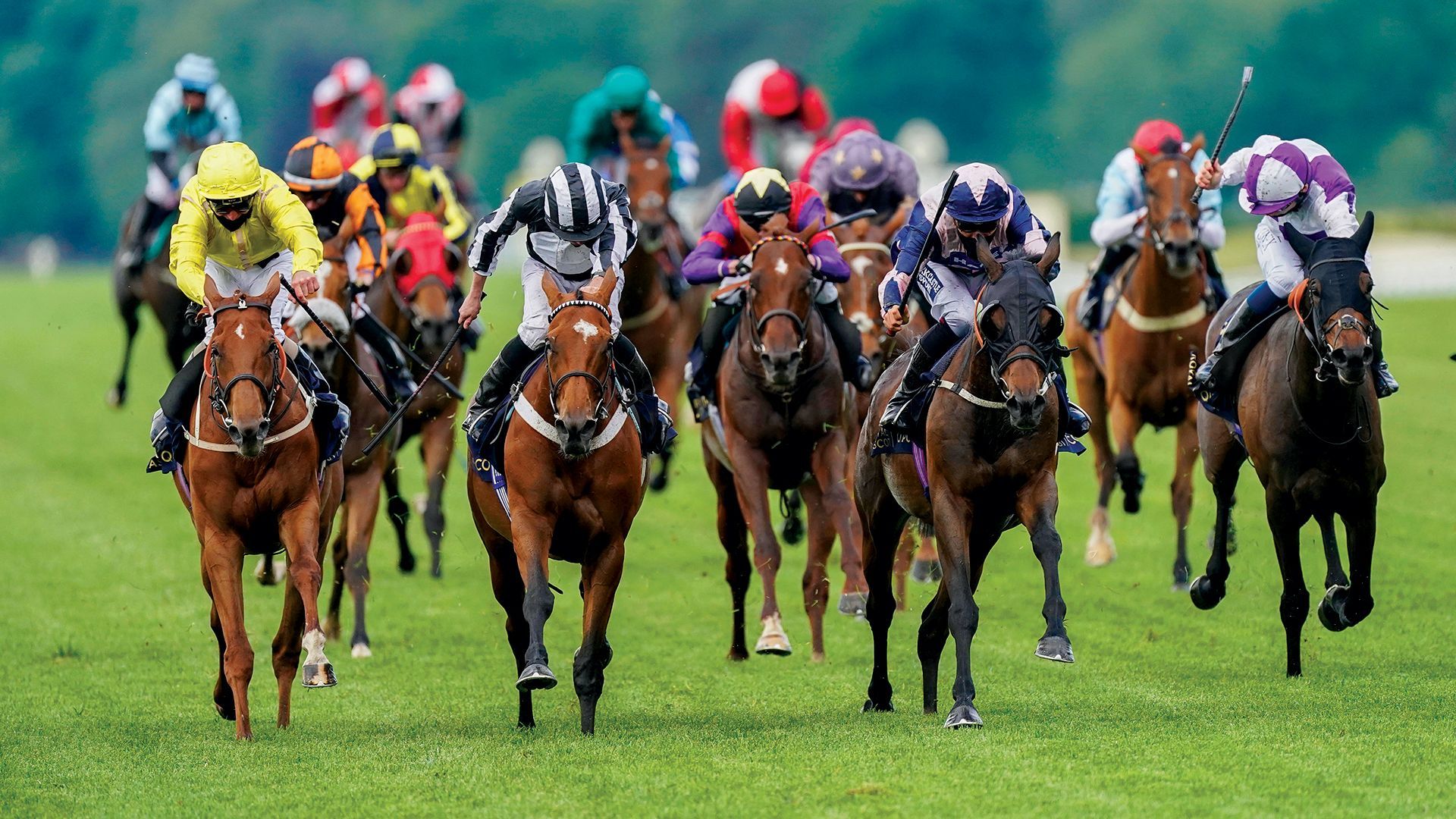 1920x1080 Royal Ascot 2020: the best tips for day two of the Royal Meeting