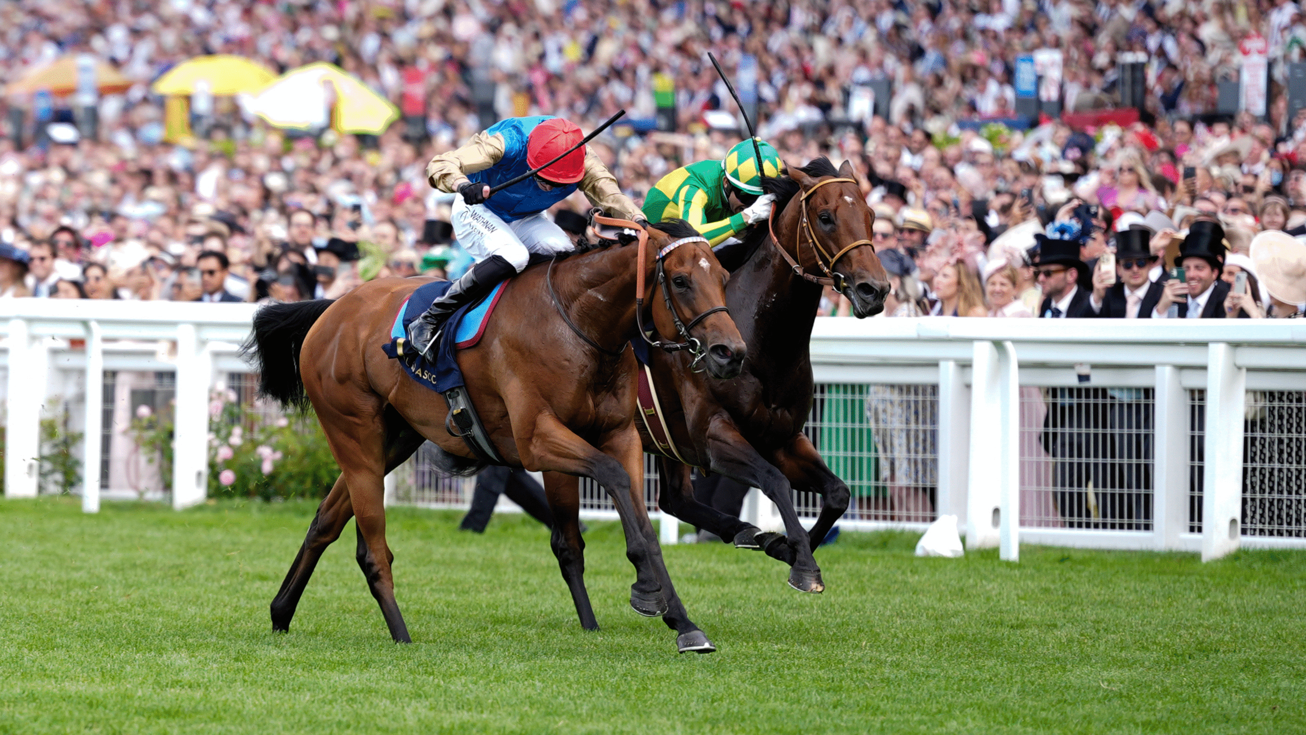 2560x1440 Royal Ascot 2025: Live results and updates from Day 5