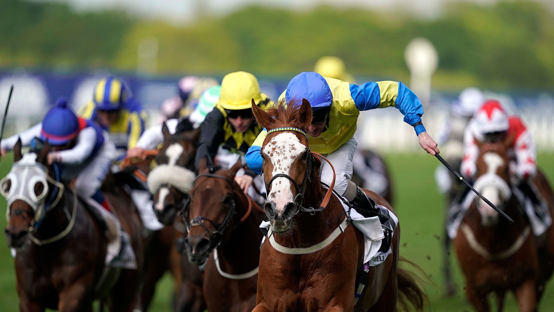 1920x1080 Royal Ascot 2019: The definitive guide