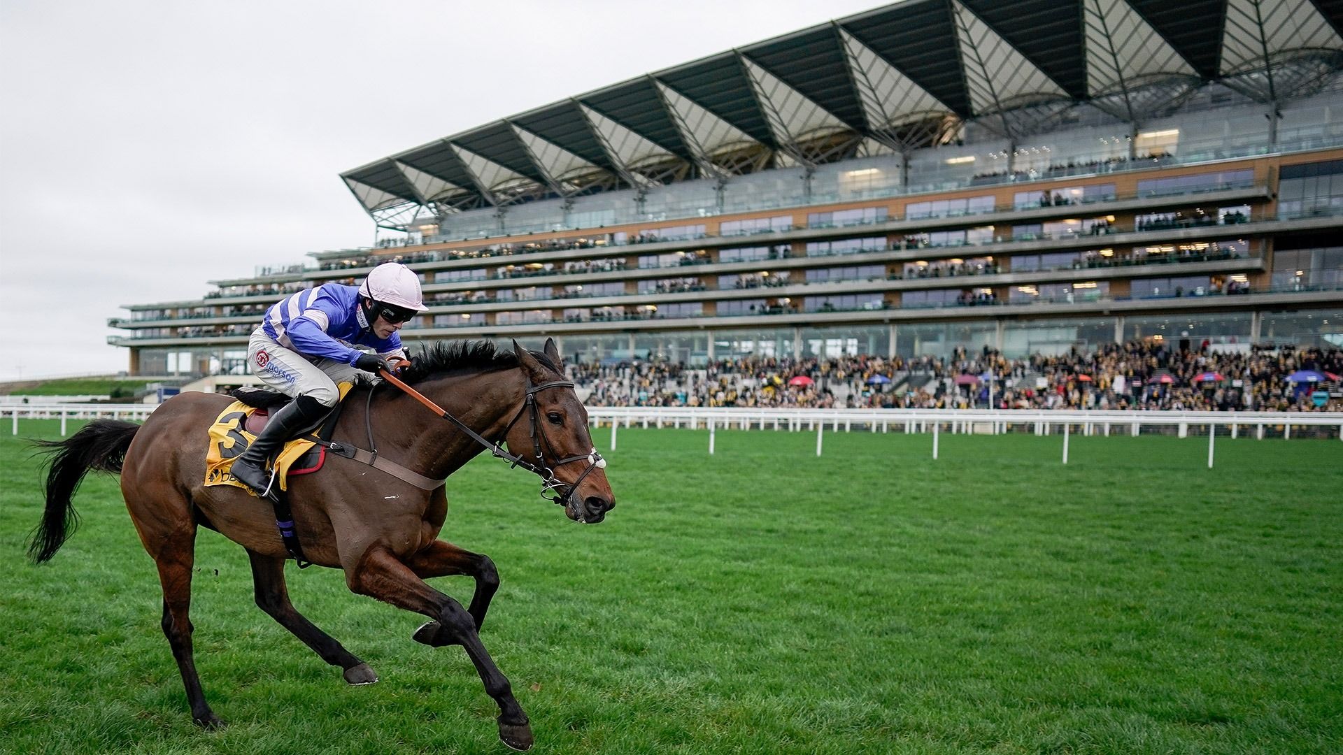 1920x1080 Ascot Racecourse