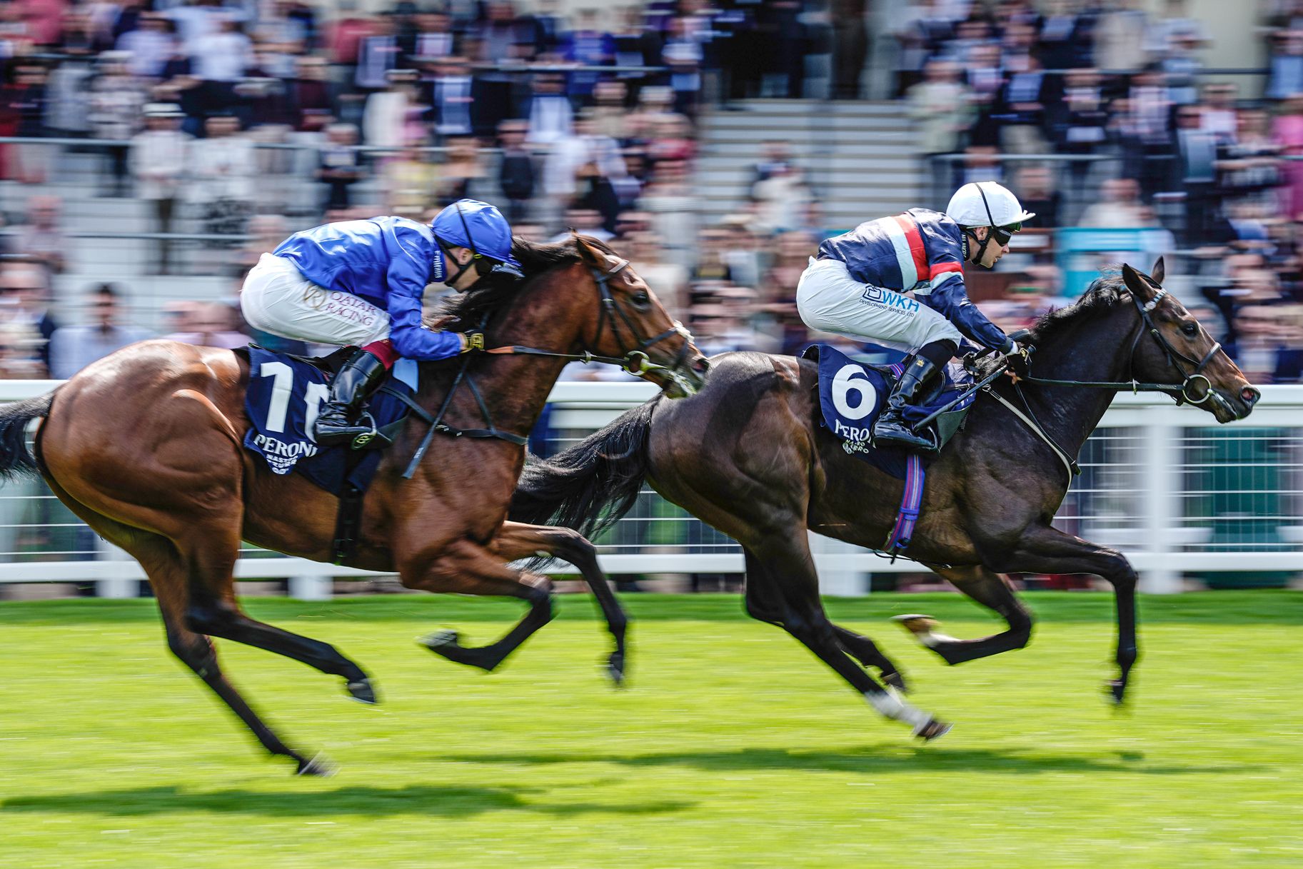 1825x1217 Watch the Royal Ascot This Saturday Racing Live