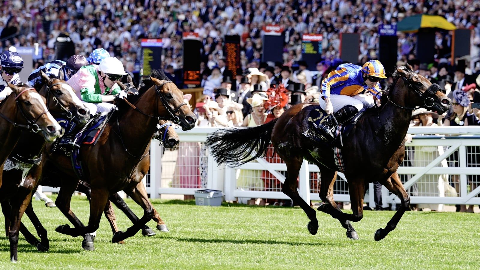 1600x900 Royal Ascot: Mission Central gives O'Brien the full set