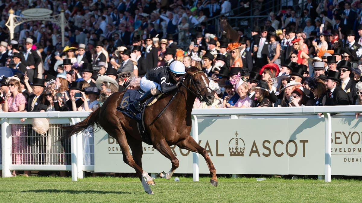 1200x675 Timeform Rates Bacio Above Group 1 Winners At Royal Ascot