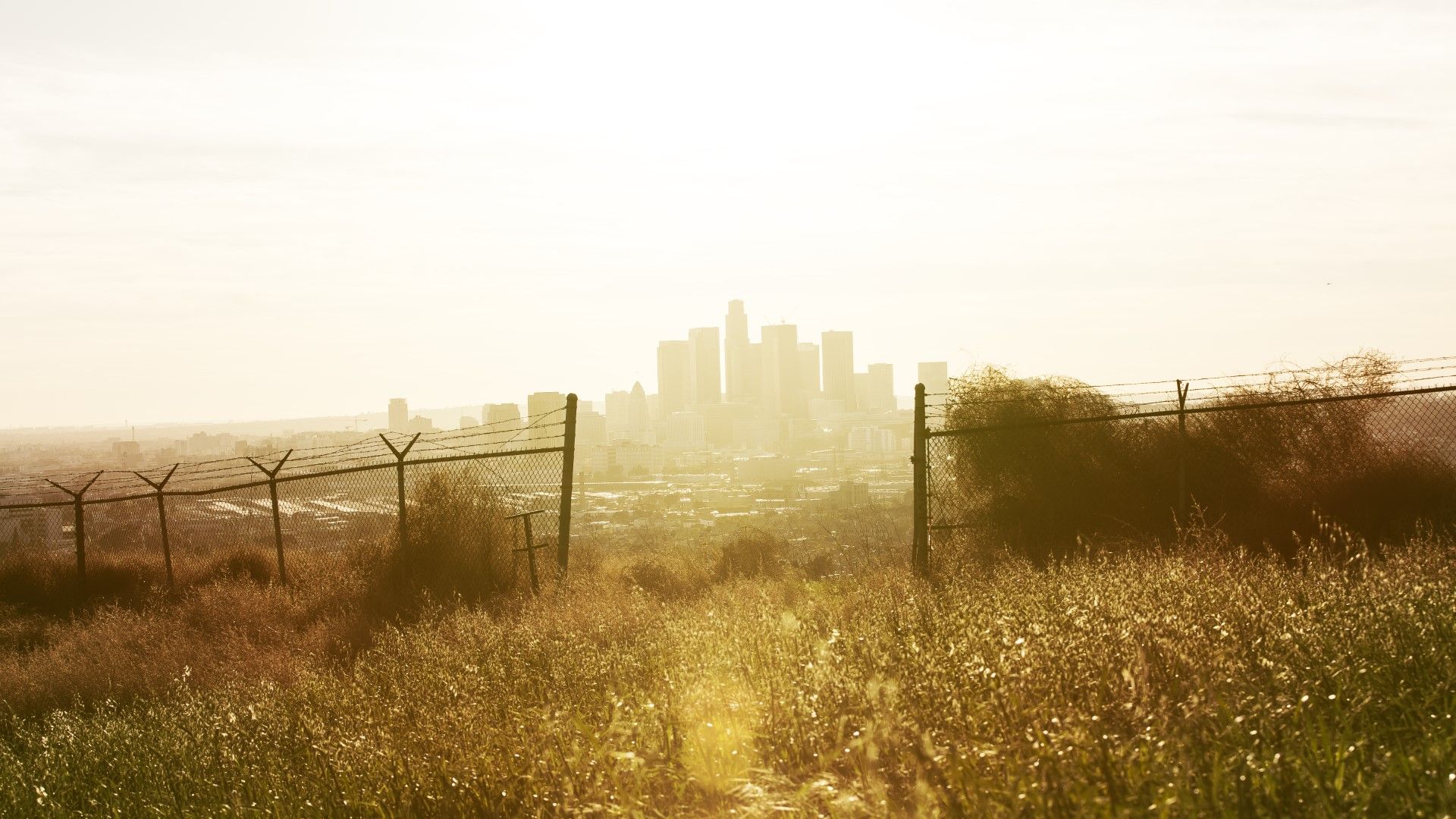 1920x1080 Ascot Hills Park Danko Kielkowski
