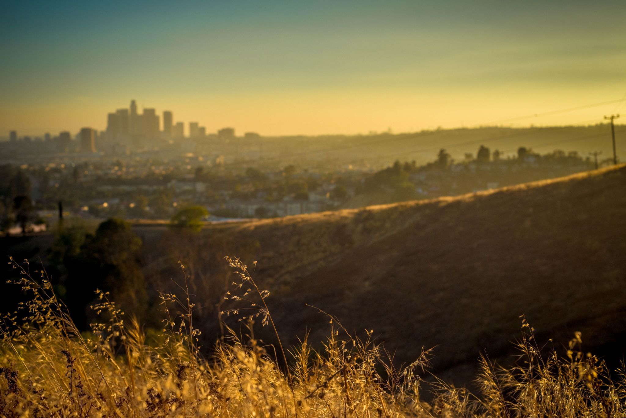 2048x1367 The best walks and hikes around South Pasadena