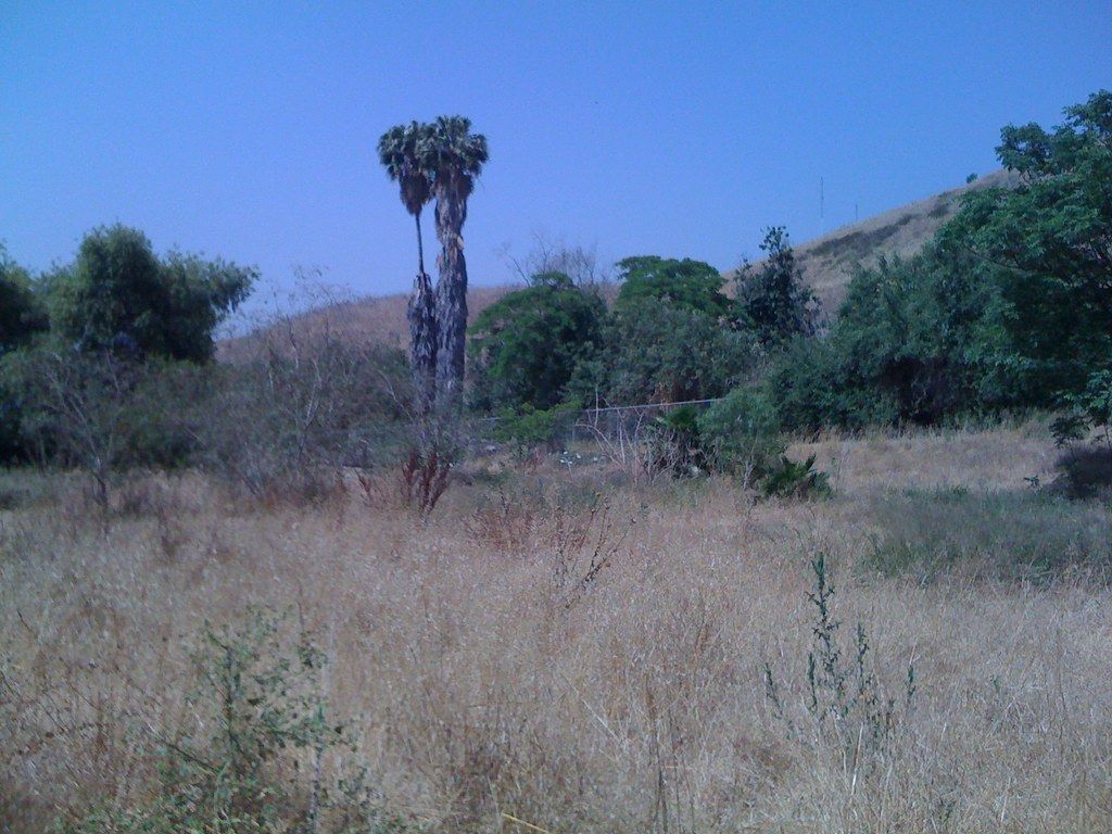 1024x768 Ascot Hills Park Countdown. Ascot Hills Park Countdown June