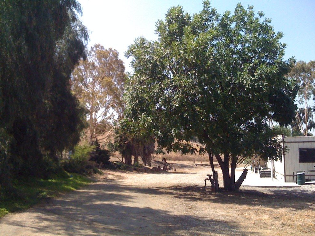 1024x768 Ascot Hills Park Countdown. Ascot Hills Park Countdown June