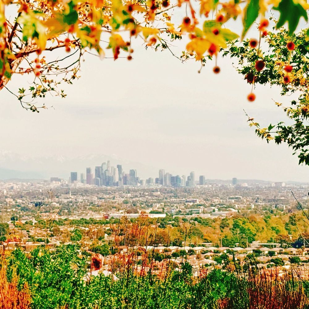1000x1000 TOP 10 BEST Scenic View in Culver City, CA