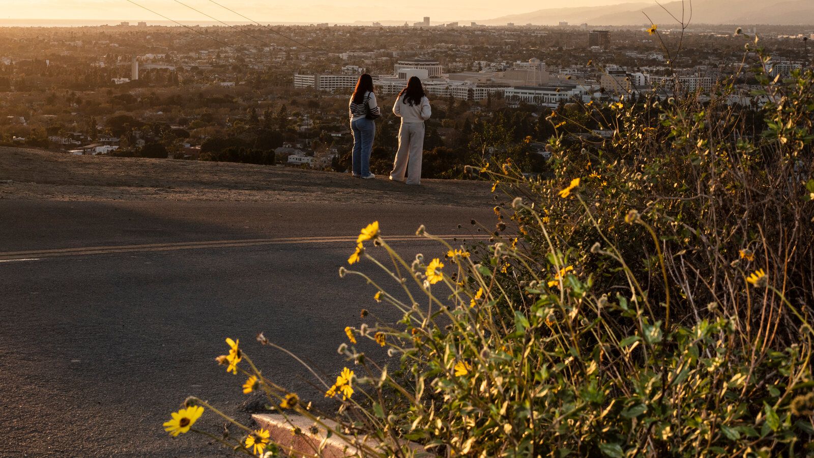 1600x900 The Push and Pull of Los Angeles: Beauty and Danger