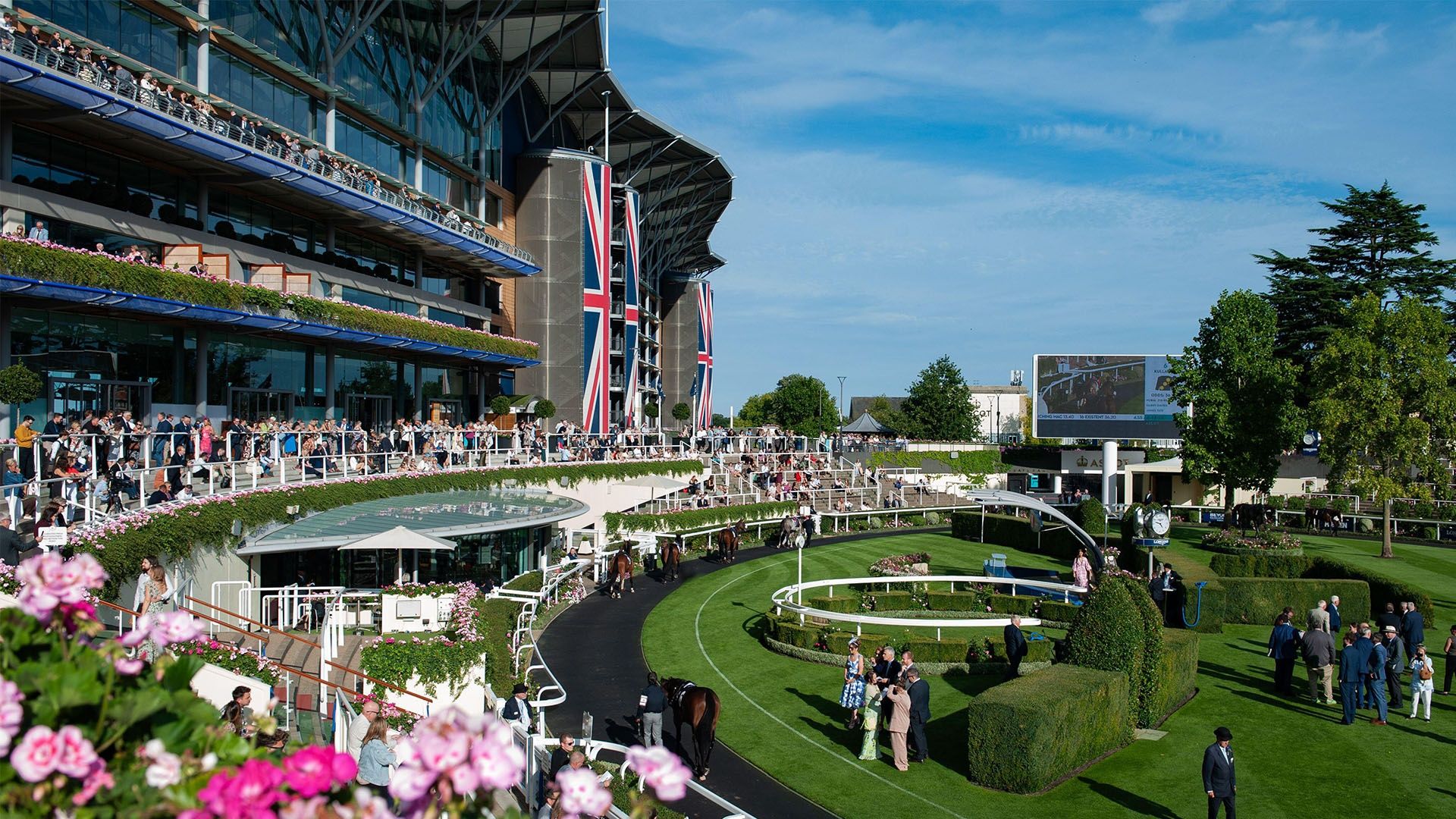 1920x1080 Royal Ascot Odds 2026: Ante Post Prices & Market Movers