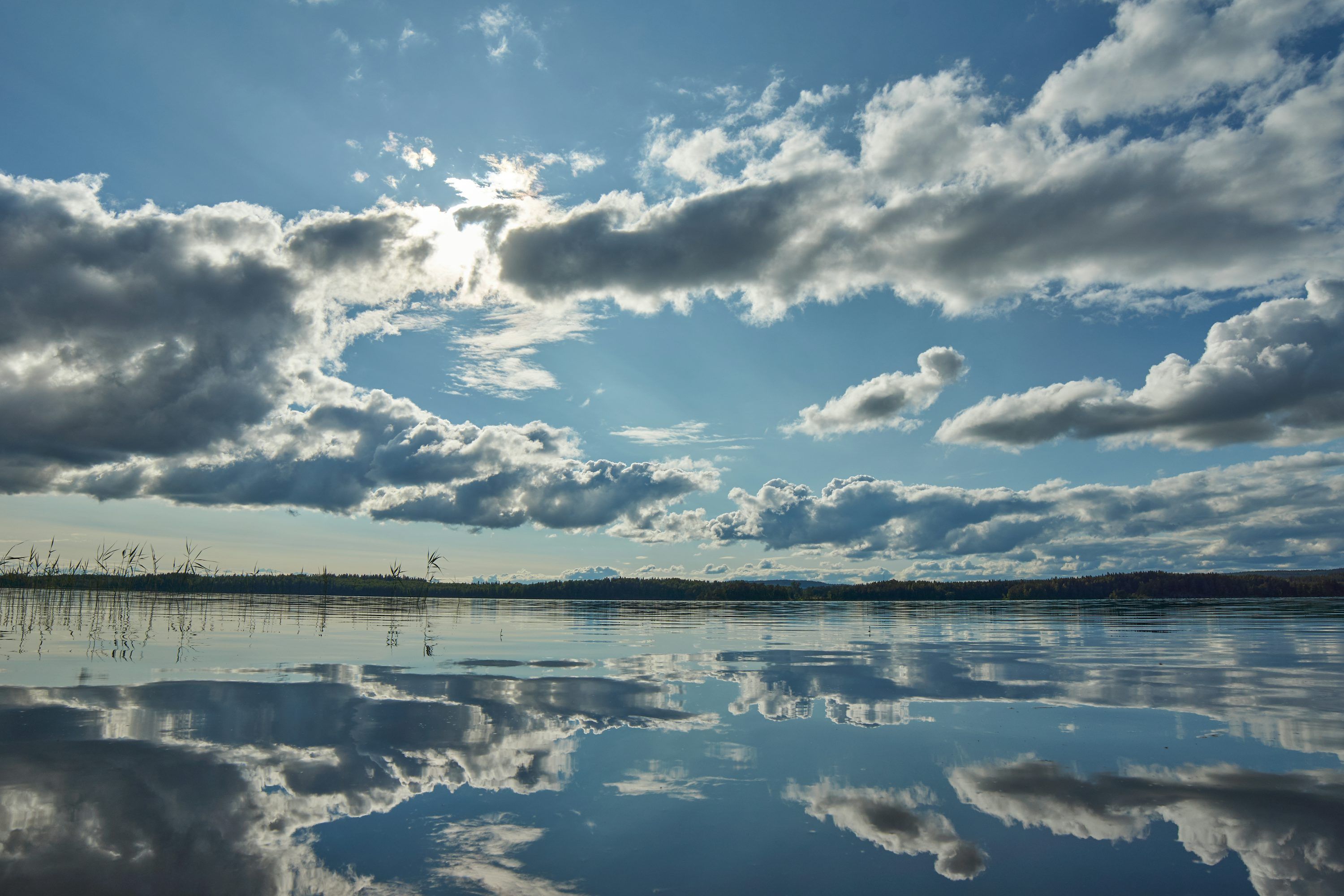 3000x2000 Weather Forecast Picture. Download Free Image
