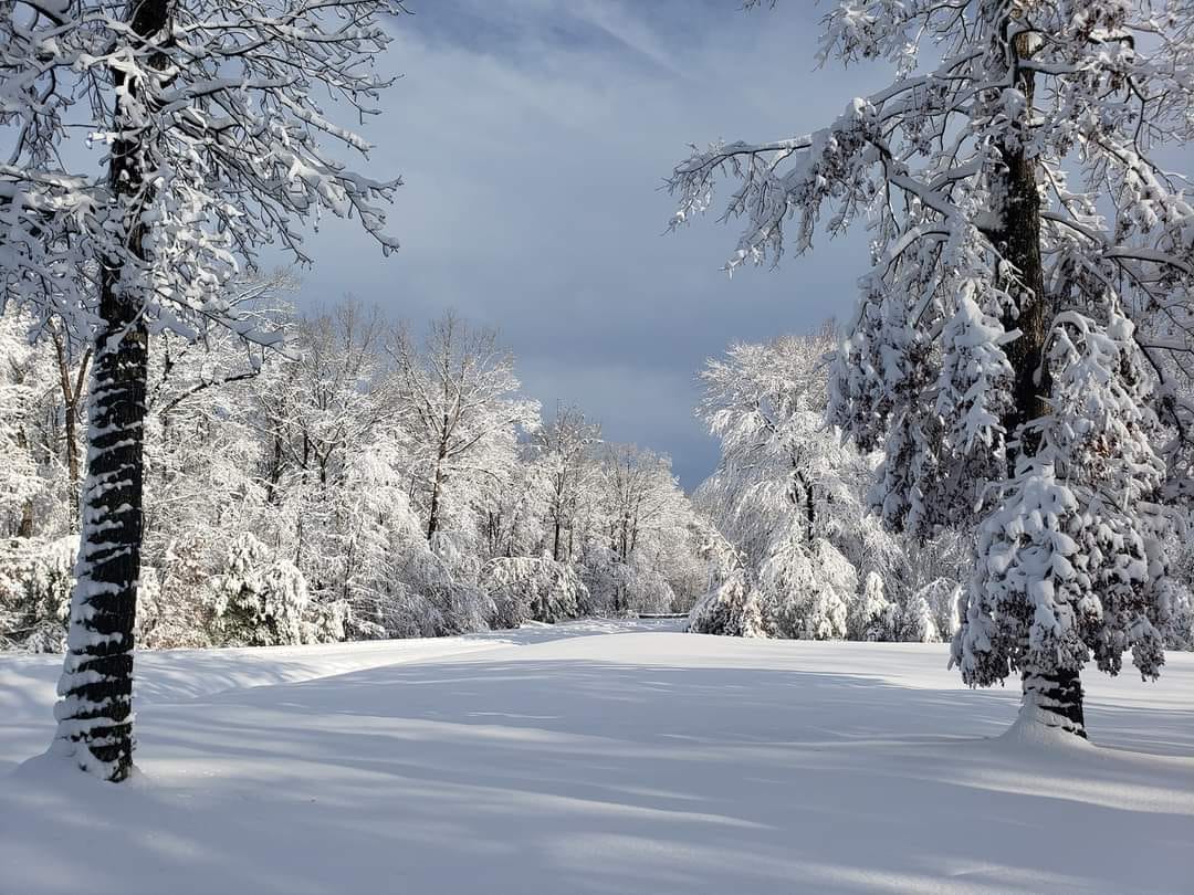 1080x810 Winter Weather Forecast: What to Expect this Season Anna Online™