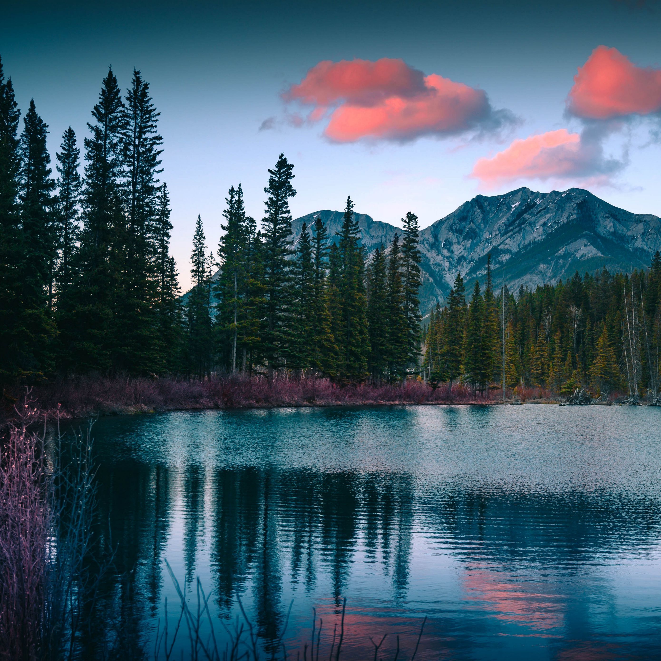 2780x2780 Download wallpaper 2780x2780 lake, mountains, forest, landscape, nature ipad air, ipad air ipad ipad ipad mini ipad mini ipad mini ipad pro 9.7 for parallax HD background
