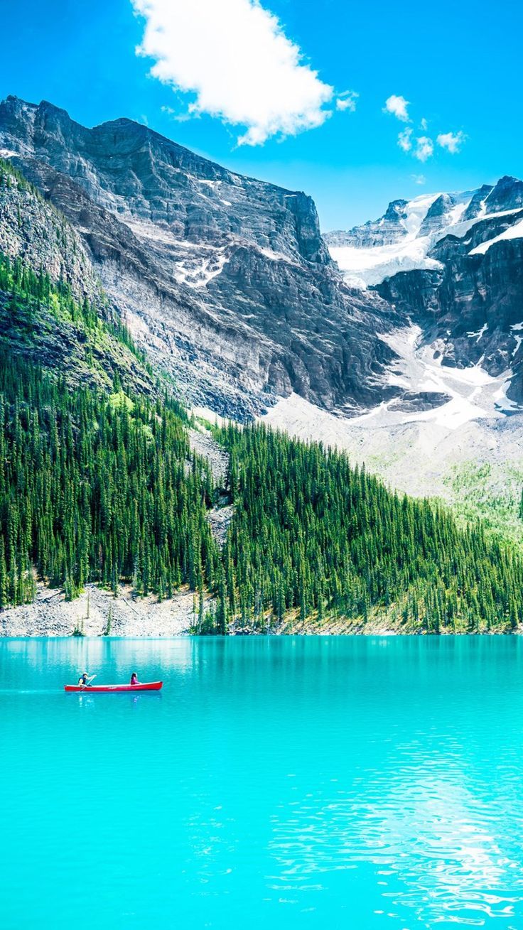 736x1309 Pure Clear Lake Mountain Scenery iPhone 8 Wallpaper