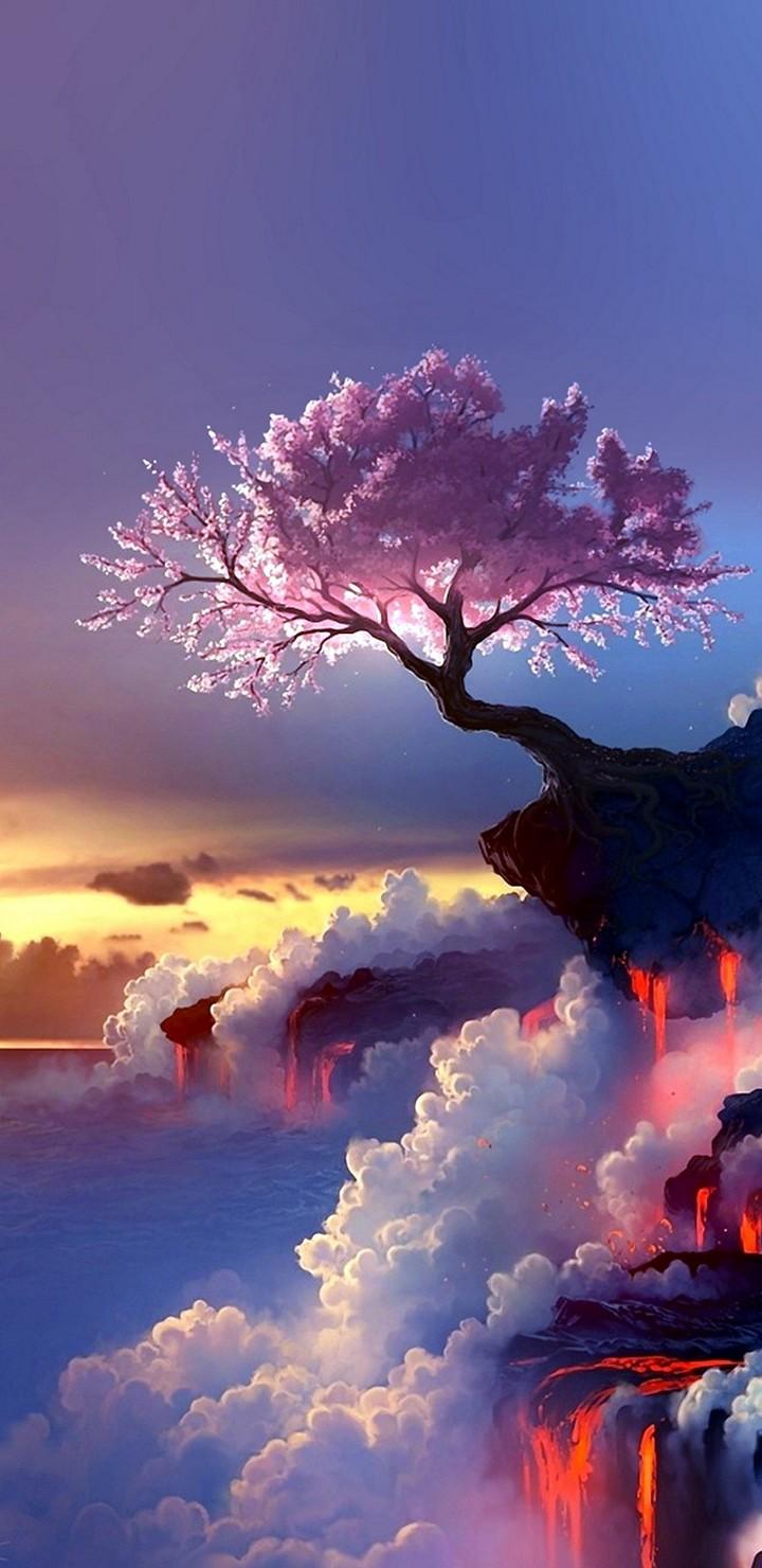 720x1480 Wallpaper