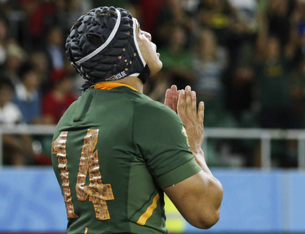 1280x982 Chelsin Kolbe ideas. springbok rugby, rugby sport, rugby wallpaper