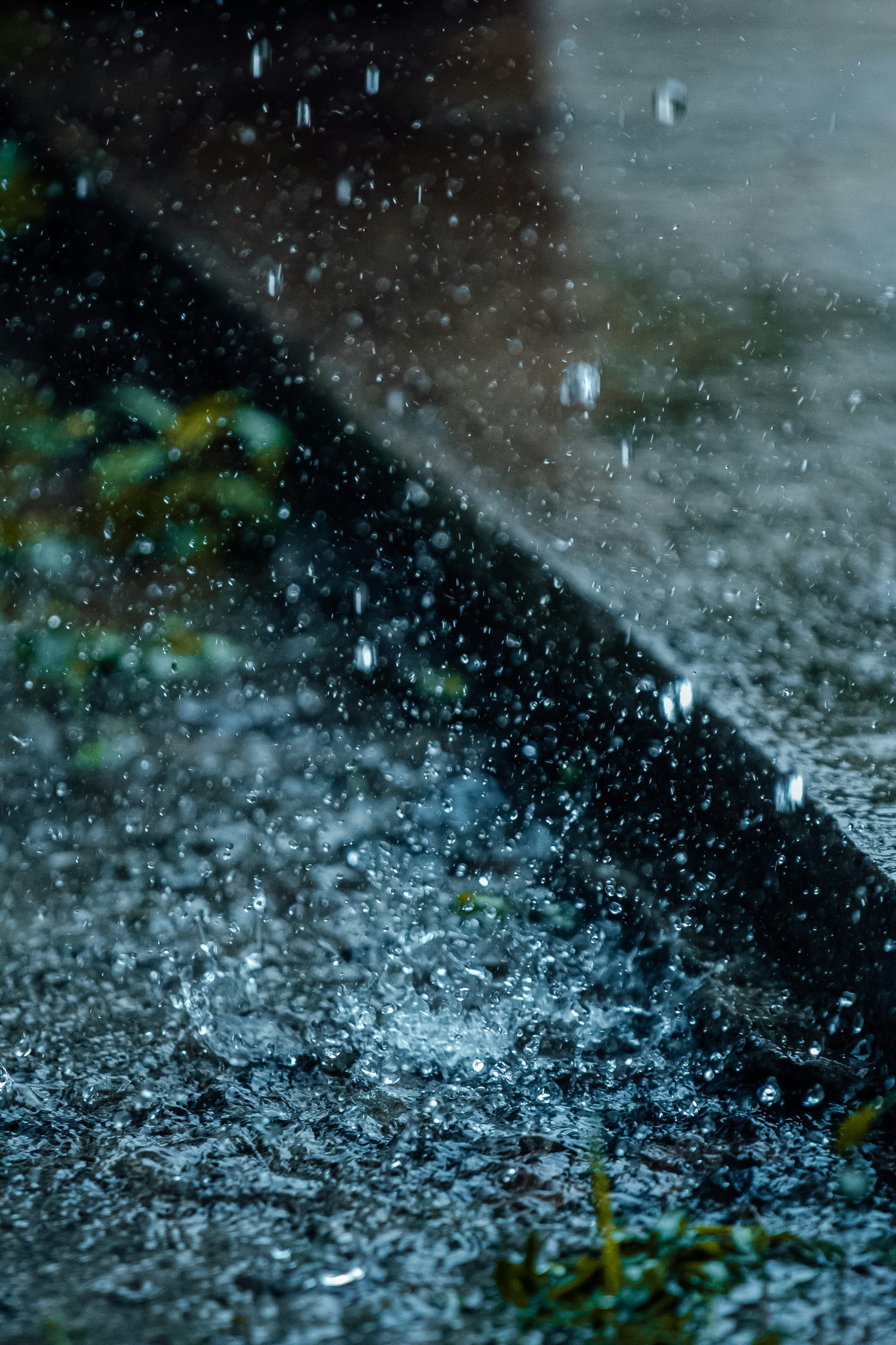 3000x4501 Rain Picture. Download Free Image