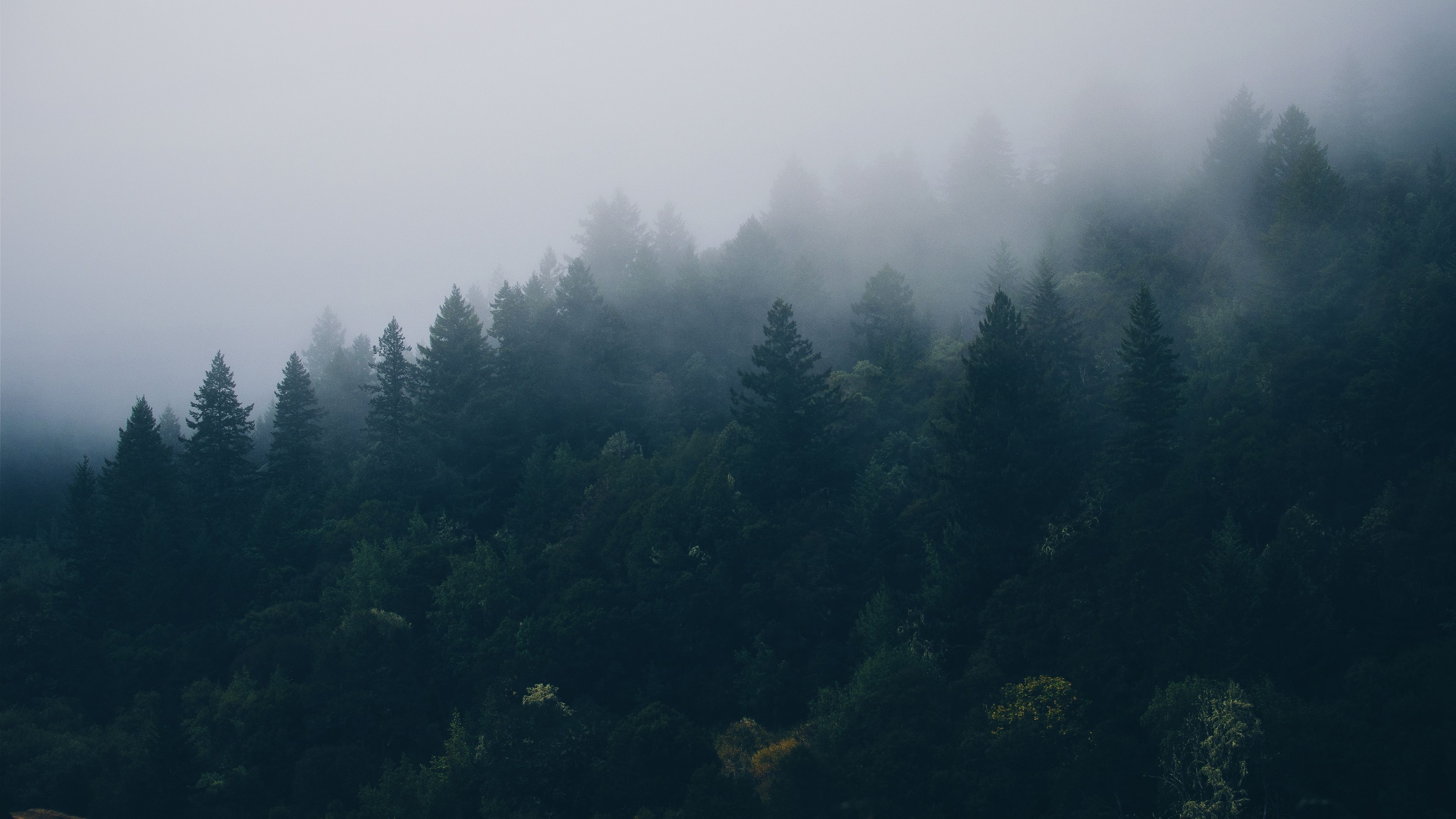 3840x2160 