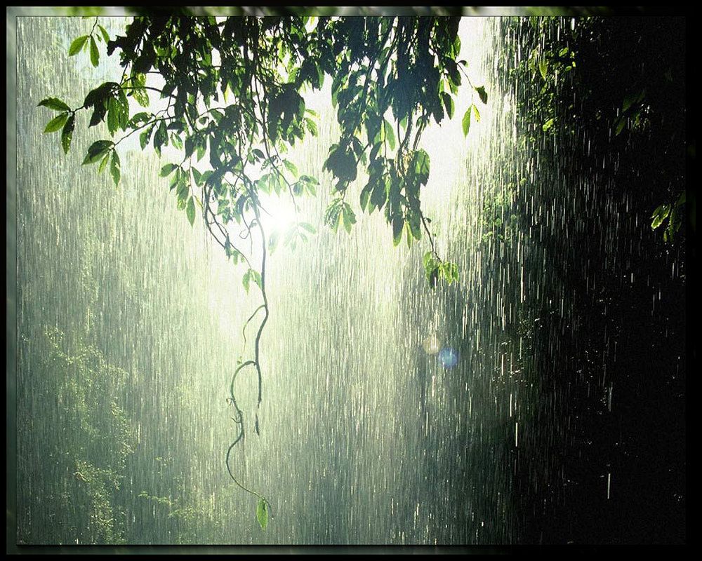 1000x800 Rain Dancing! Rachel Dacus