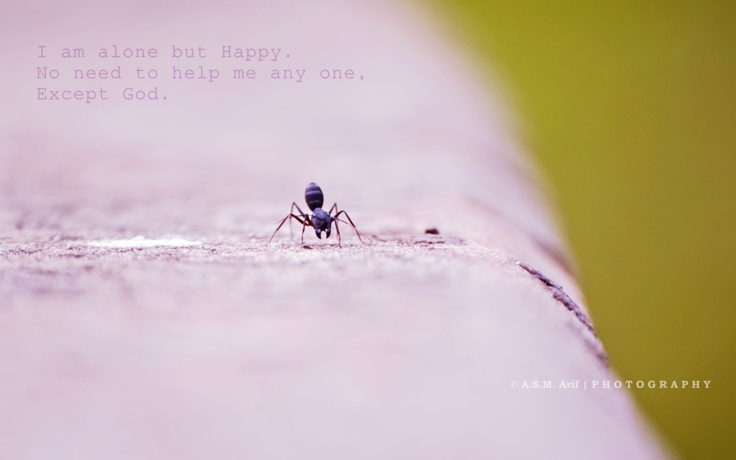 1440x900 I Am Alone 4K UHD Wallpaper for UltraHD Desktop and TV : Widescreen and UltraWide Display : Smartphone and Tablet Devices